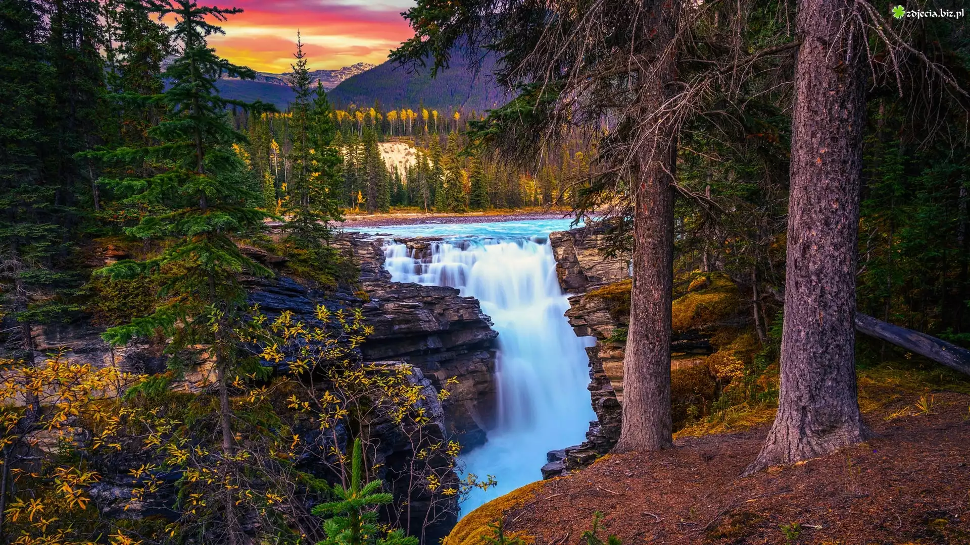 Kanada, Alberta, Park Narodowy Jasper, Wodospad, Athabasca Waterfall, Drzewa, Zachód słońca