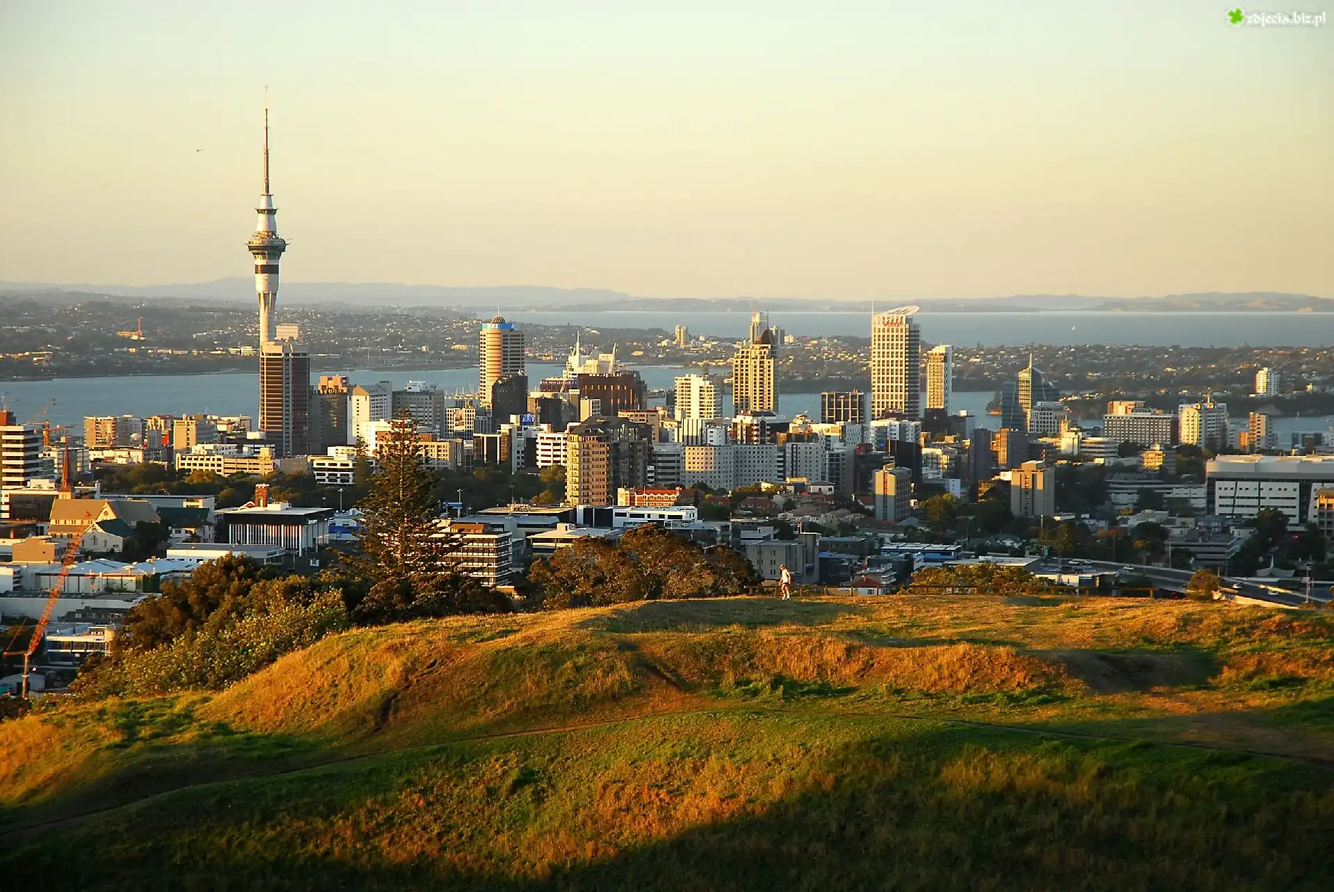 Auckland, Nowa Zelandia, Panorama