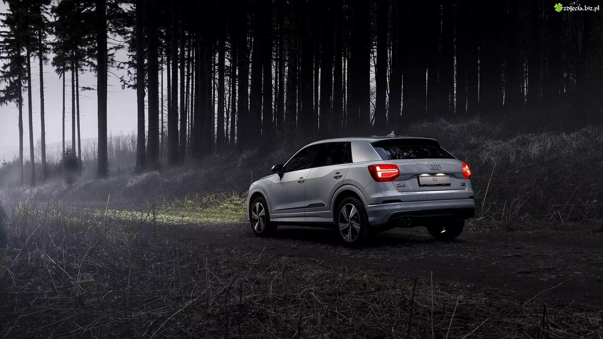 Audi Q2 S-Line, 2017, Las