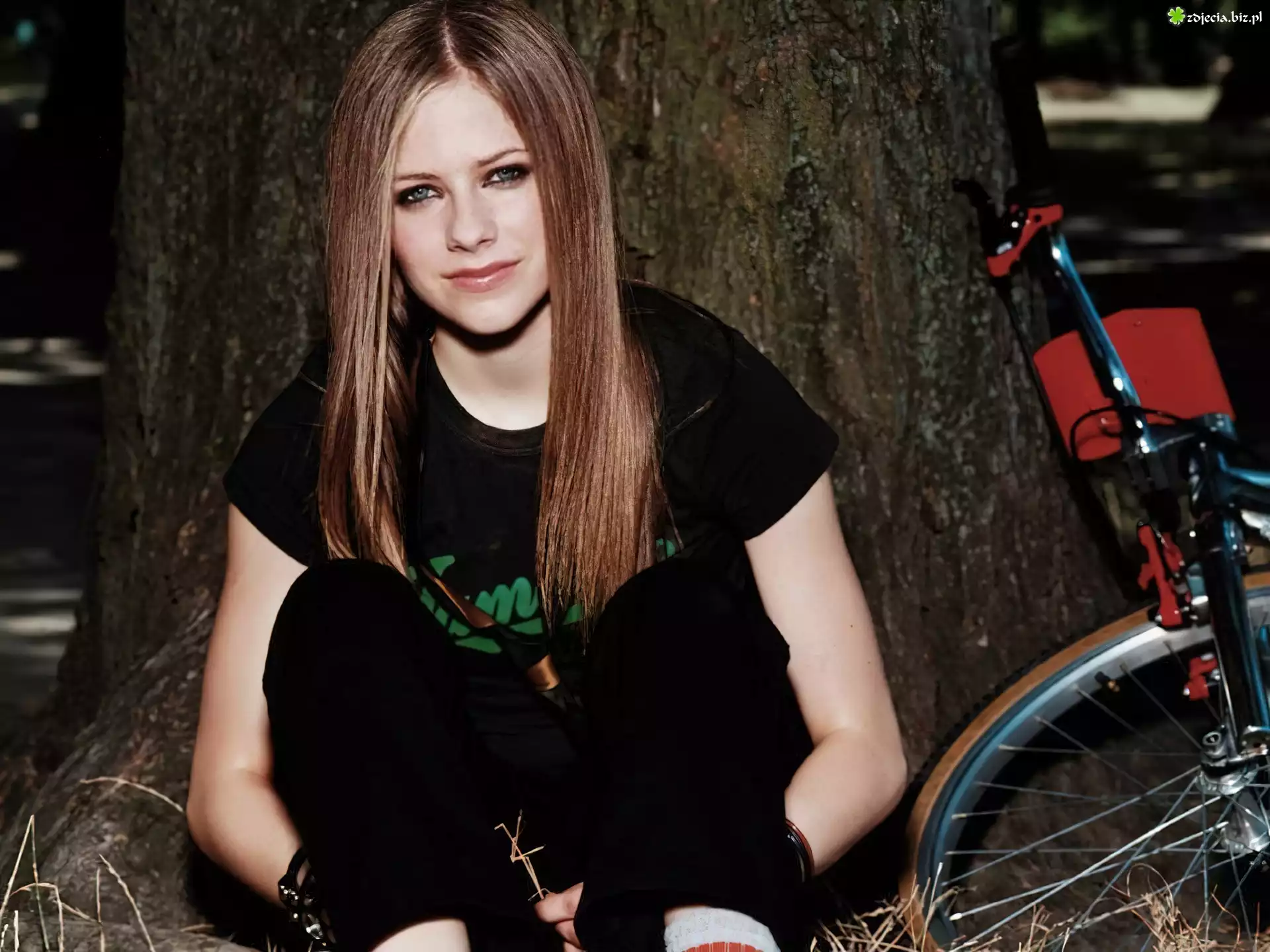 Avril Lavigne, Drzewo, Rower
