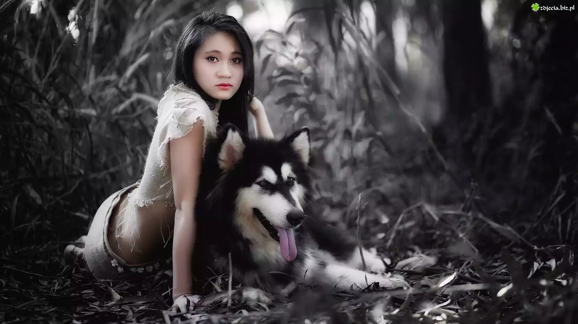 Kobieta, Azjatka, Alaskan Malamute, Rośliny, Rozmyte, Tło