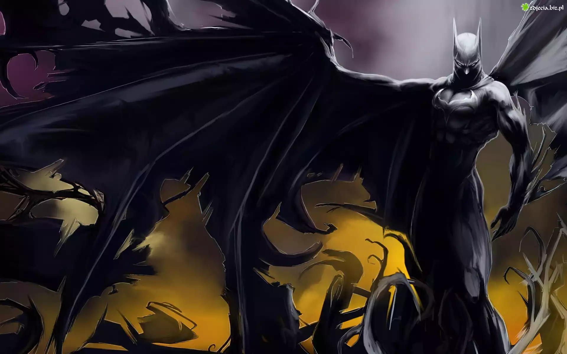Batman, Skrzydło