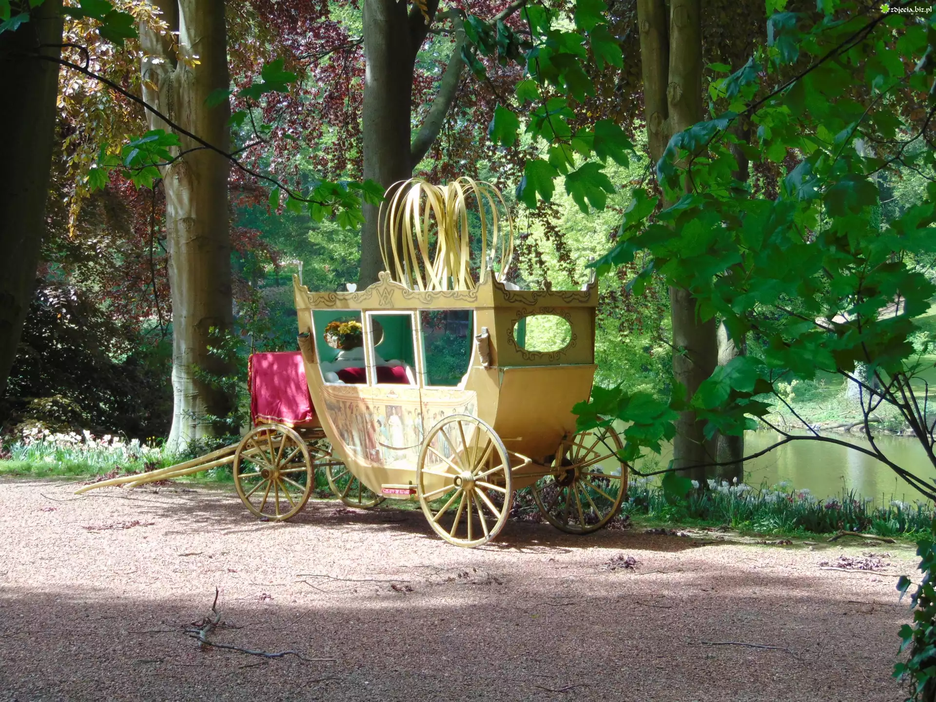 Belgia, Dilbeek, Kareta, Park