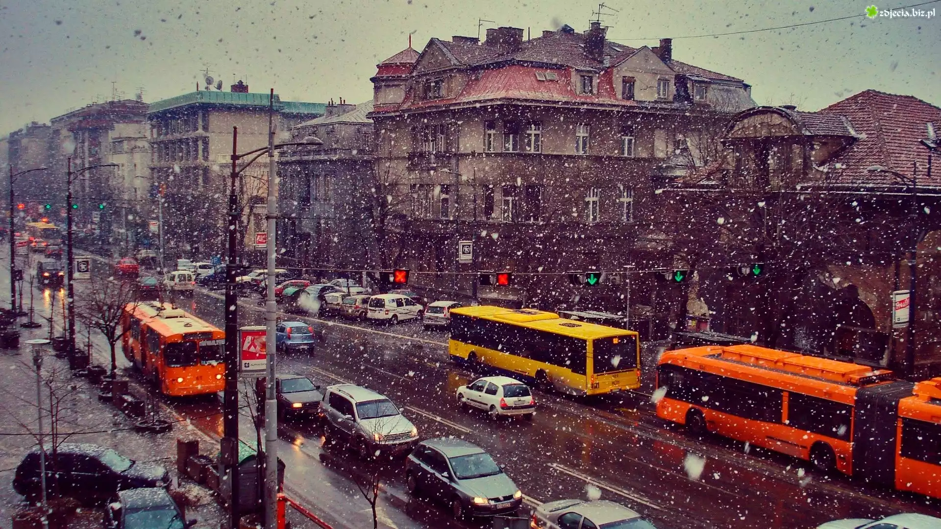 Serbia, Belgrad, Miasto, Samochody, Autobusy, Zima, PadajÄ…cy, Åšnieg