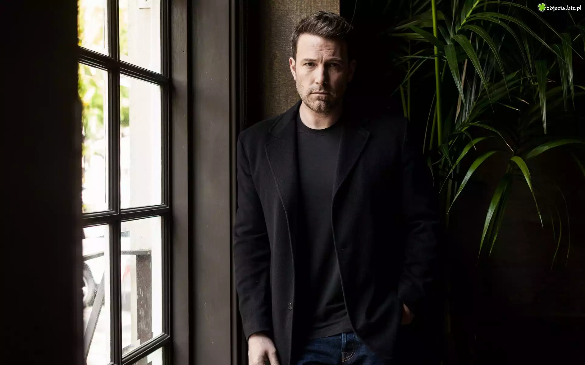 Ben Affleck, Aktor, Okno, Roślina