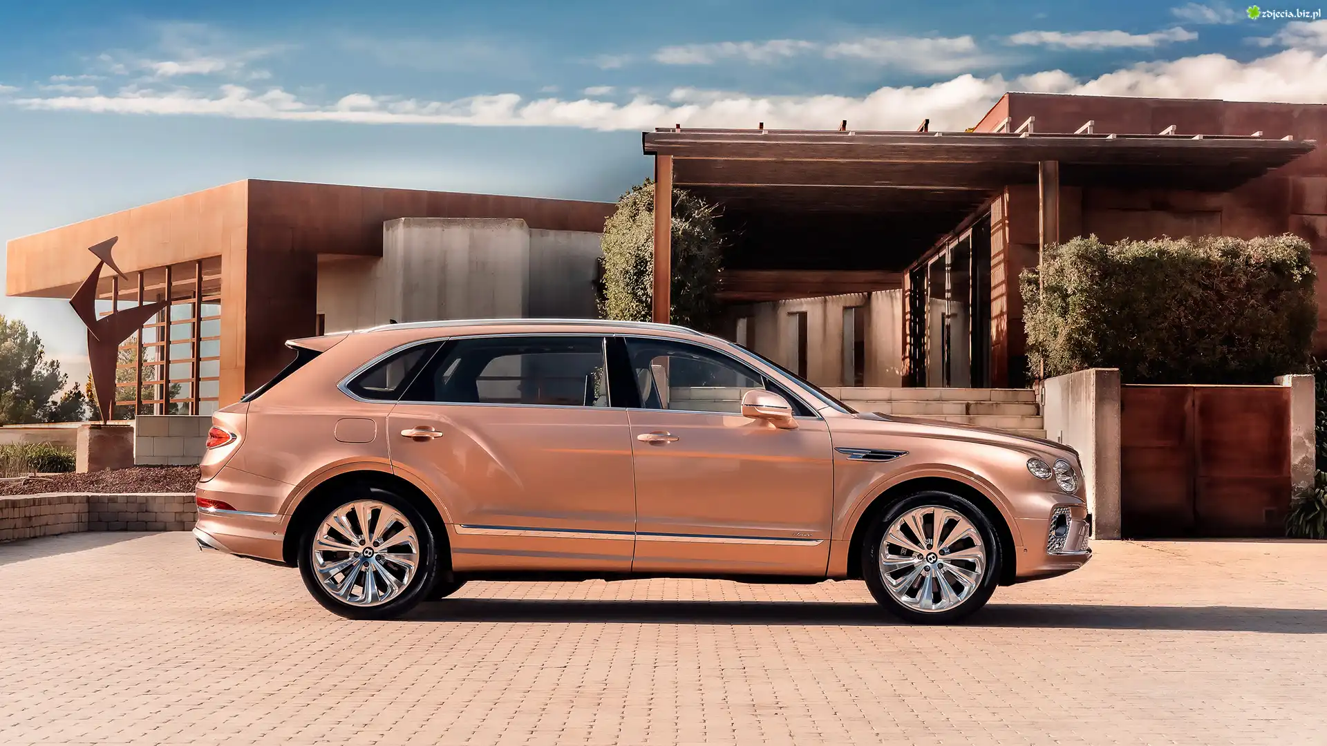Bentley Bentayga EWB, Bok, Willa