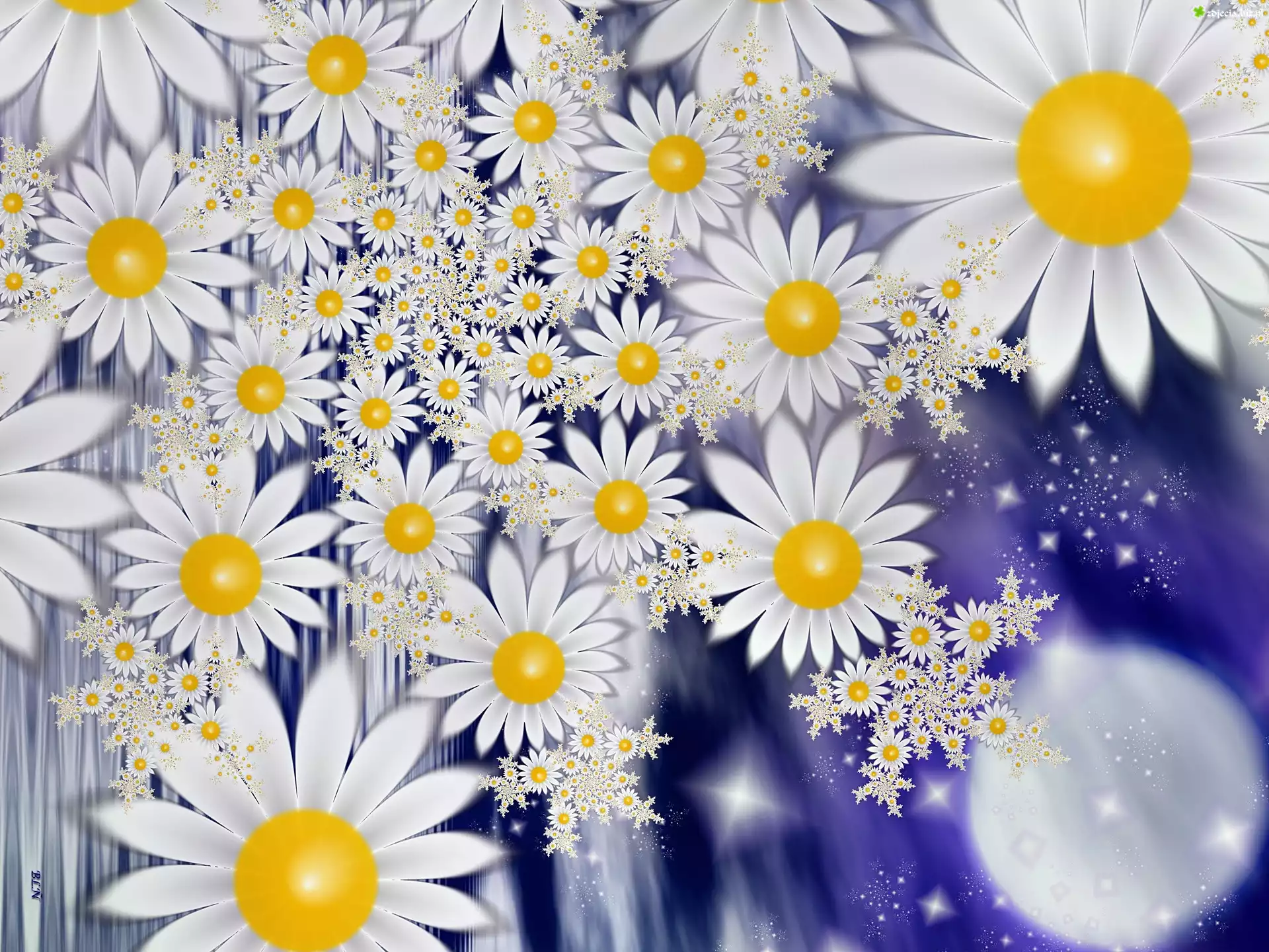Białe, Kwiaty, Grafika, 3D