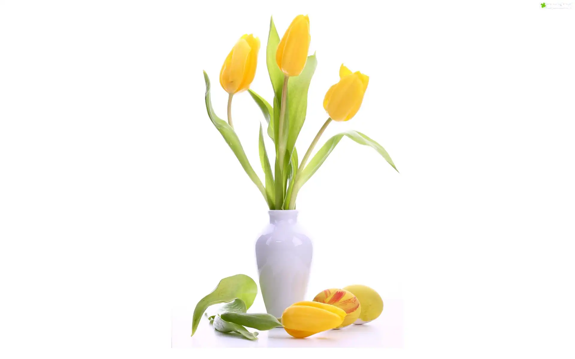 Żółte, Tulipany, Biały, Wazonik