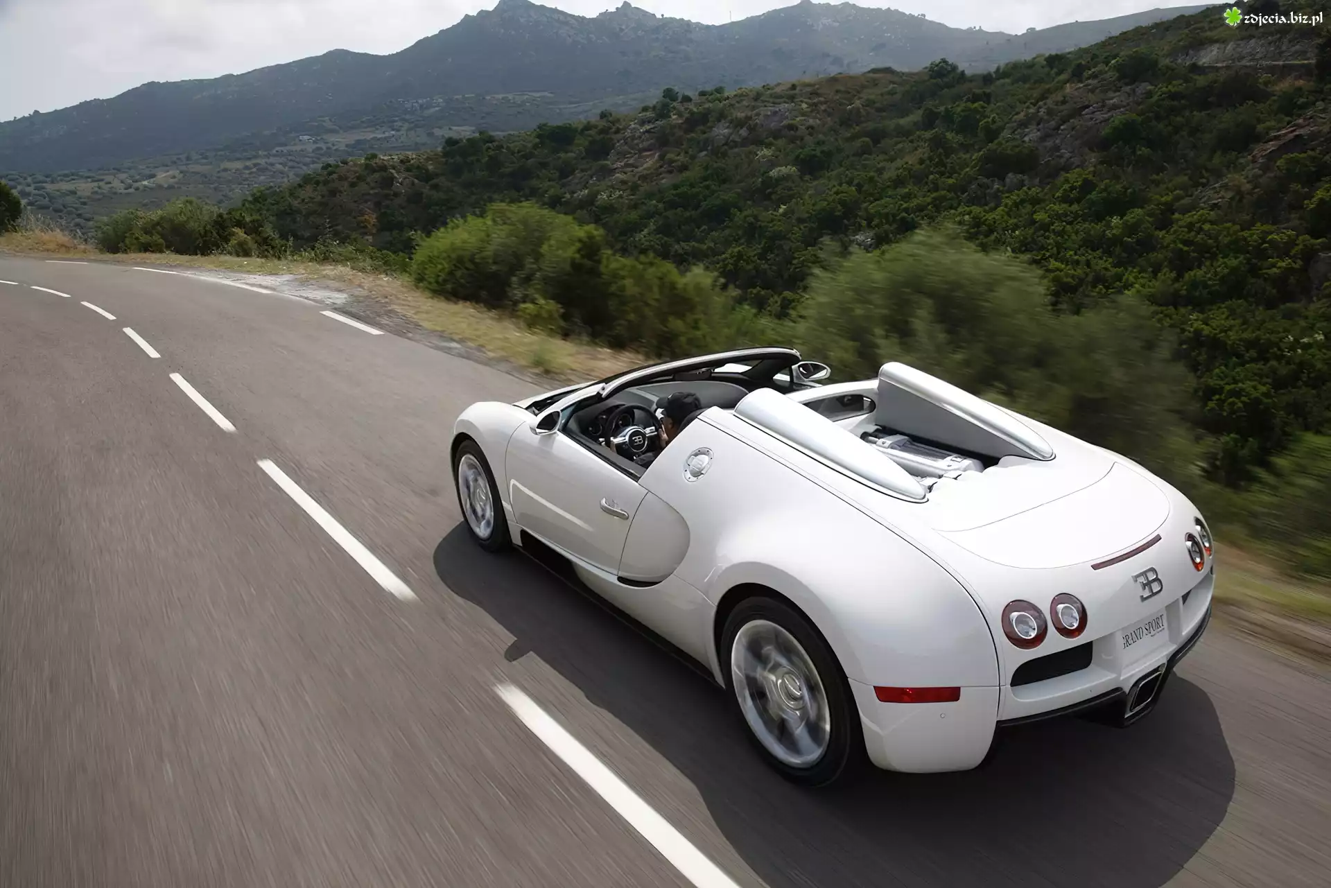 Biały, Bugatti Veyron, Cabrio