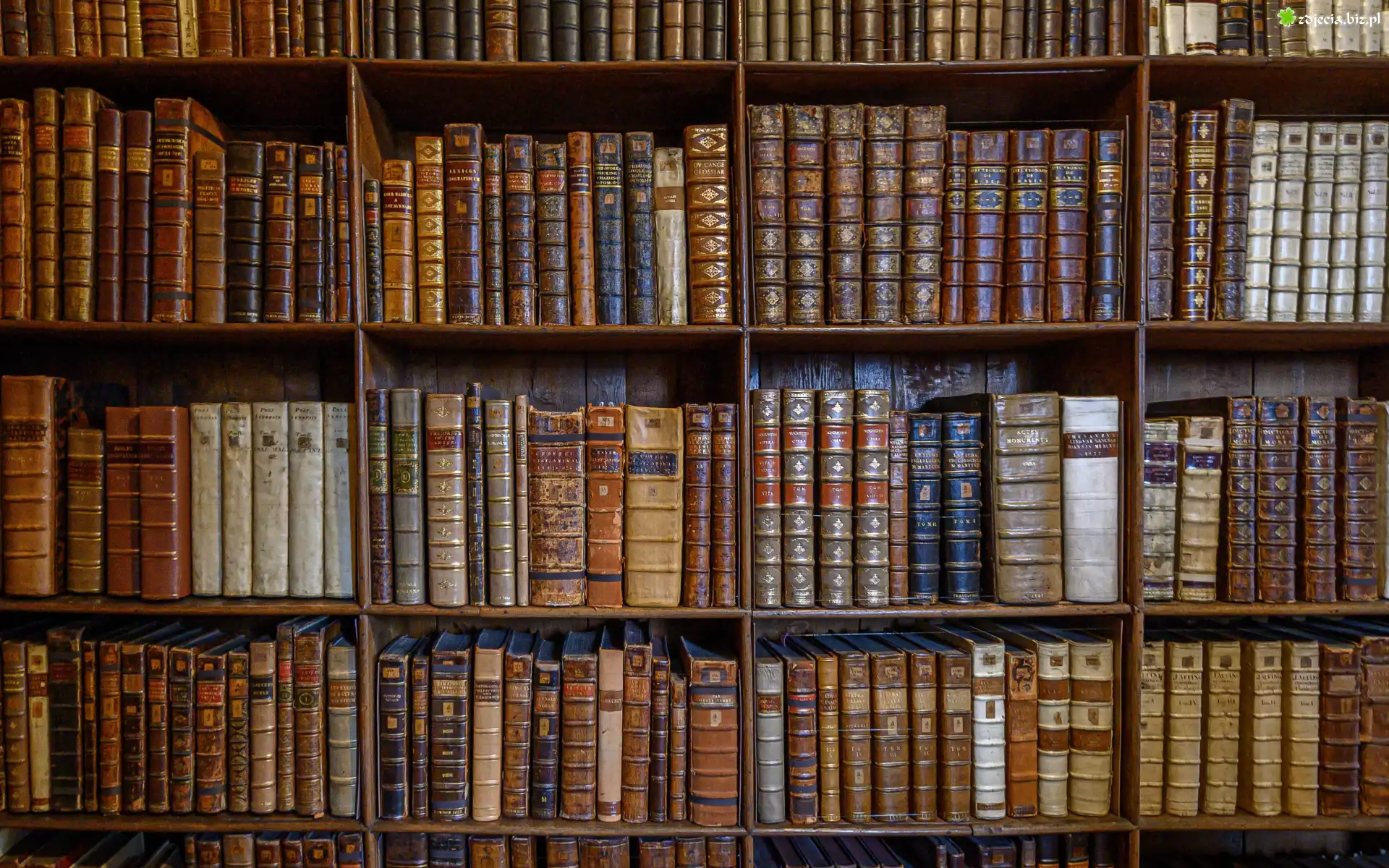 Biblioteka, Książki, Półki, Regał