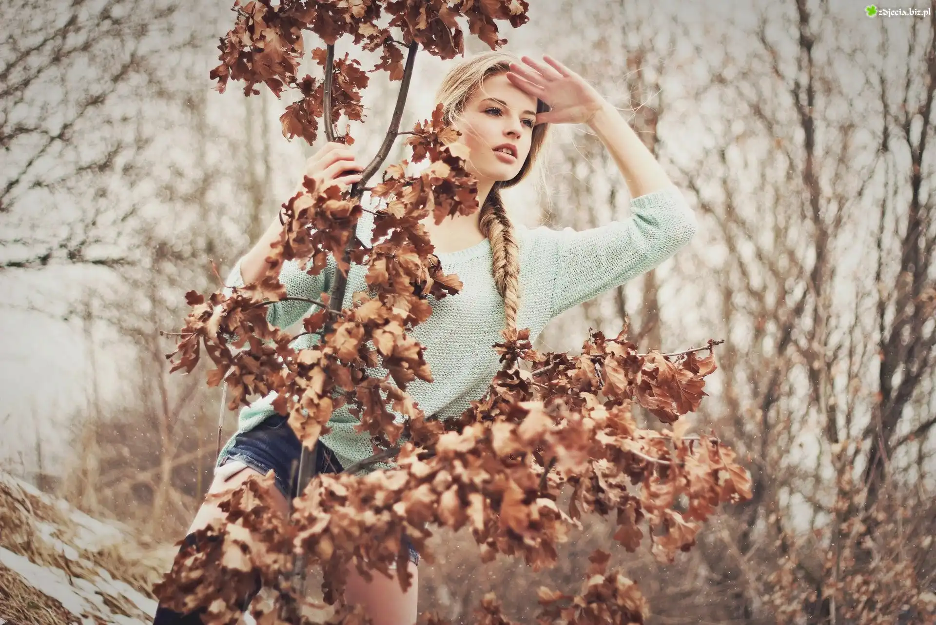 Kobieta, Blondynka, Las