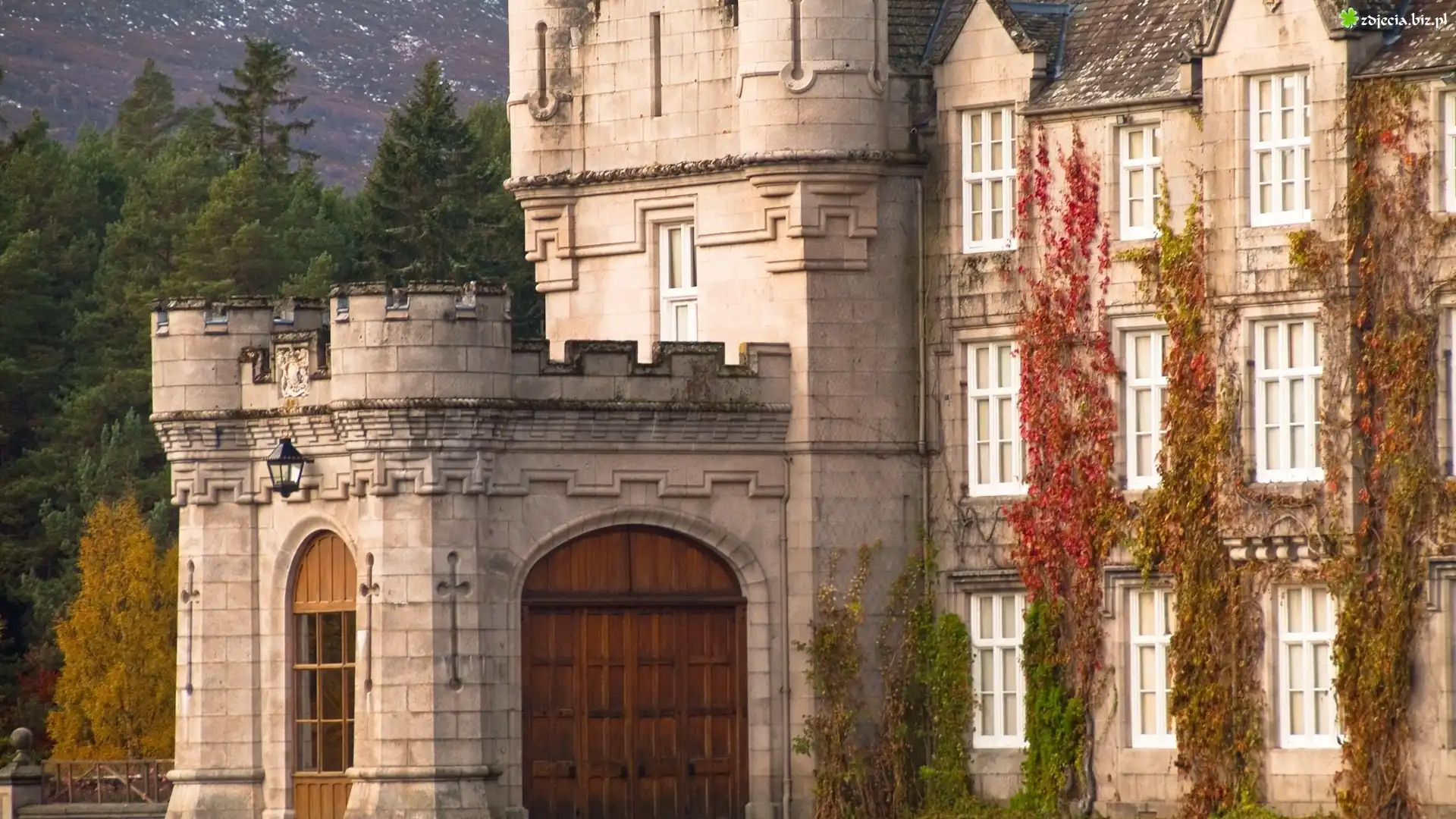 Zamek w Balmoral, Balmoral Castle, Szkocja, Bluszcz