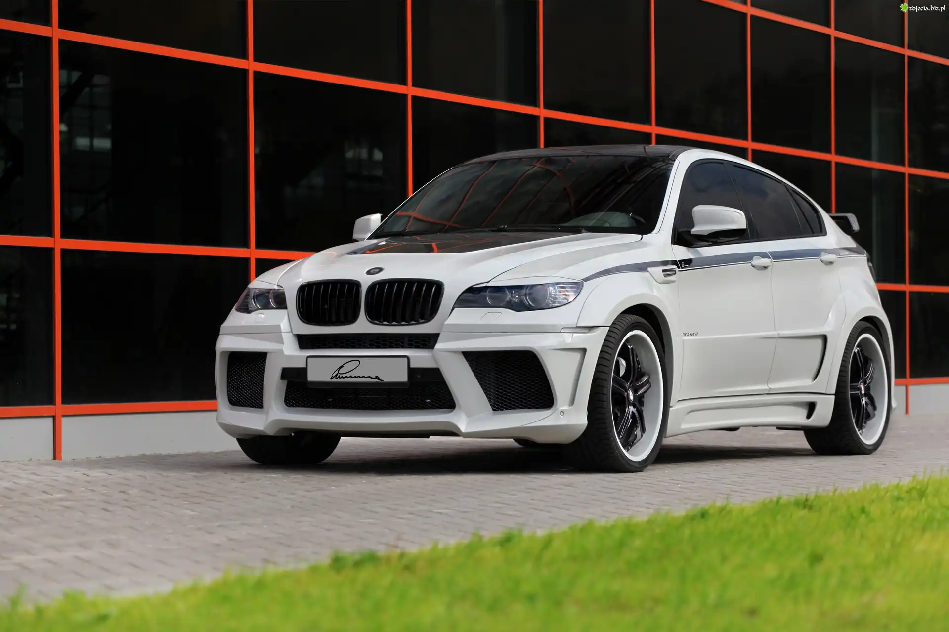 Zdjęcie Białe, BMW, X6