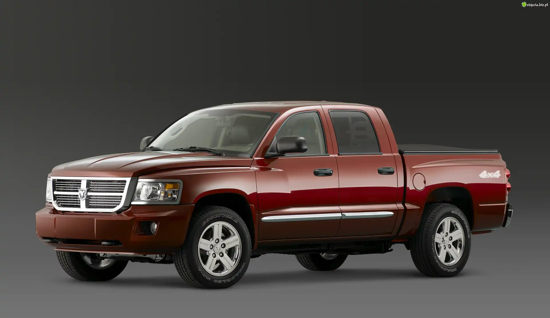 Bordowy, Terenowy, Dodge Dakota