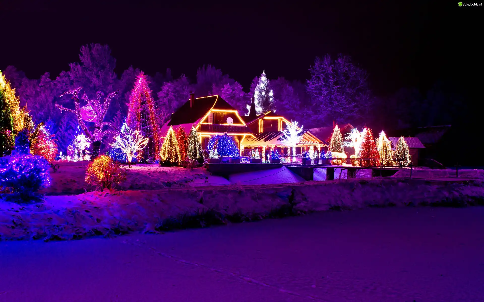 Boże, Narodzenie, Zima, Dom, Drzewa, Oświetlenie
