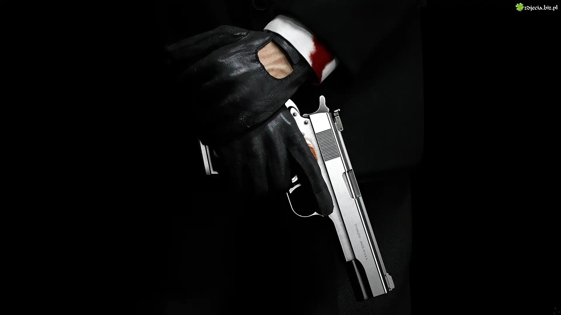 Broń, Pistolet, Dłonie, Hitman