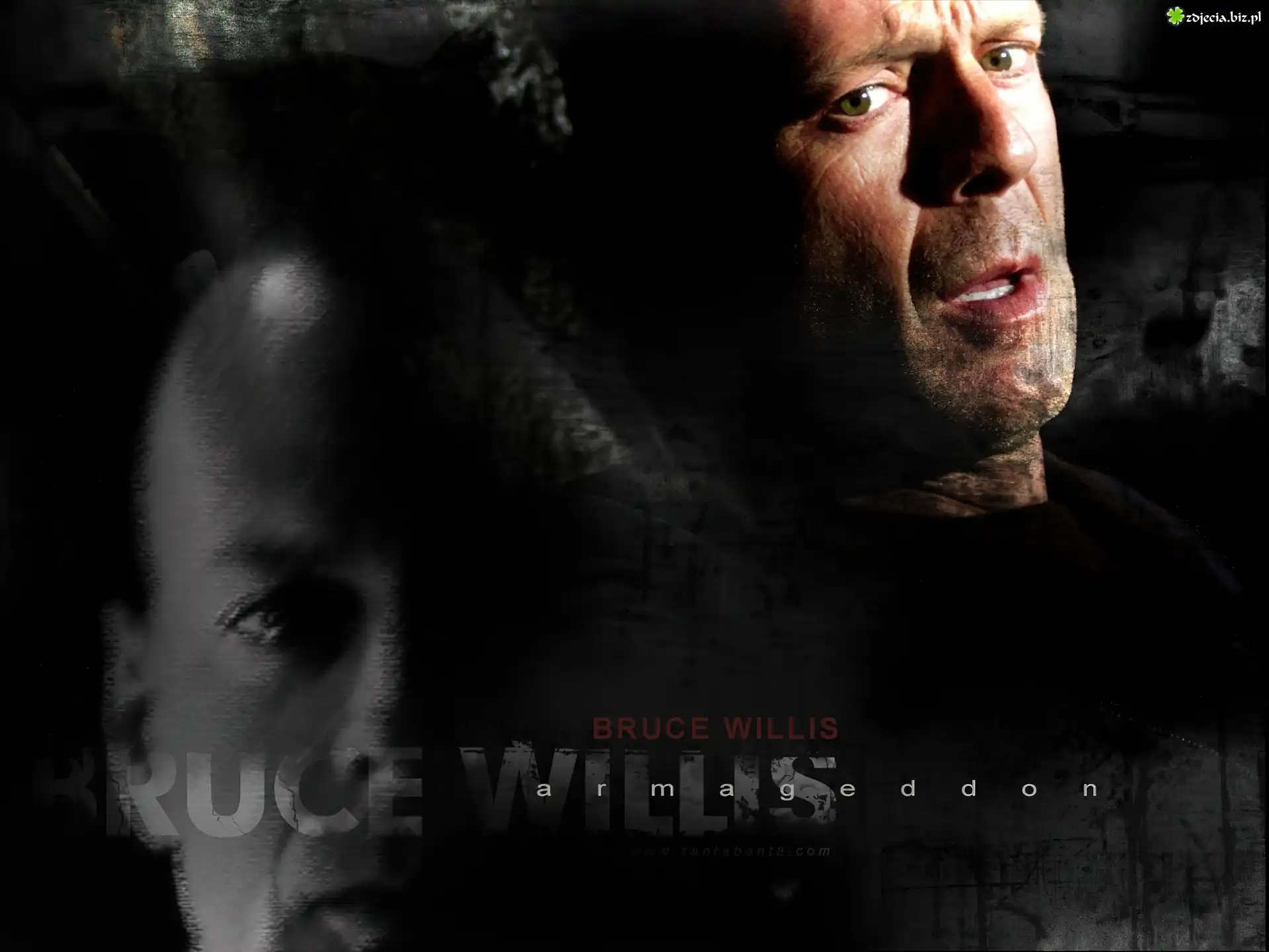 Bruce Willis,zielone, oczy
