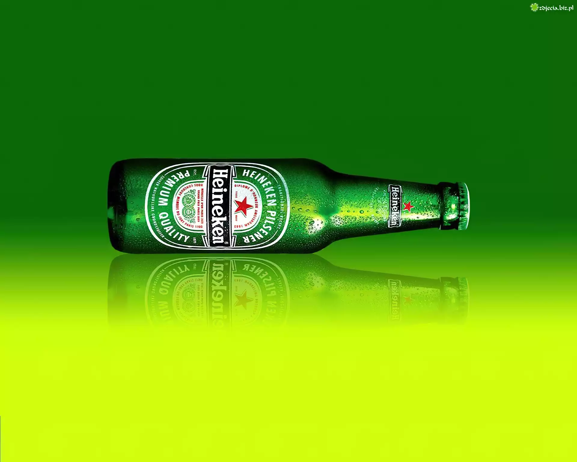 Butelka, Heineken, Zielono, Żółte, Tło