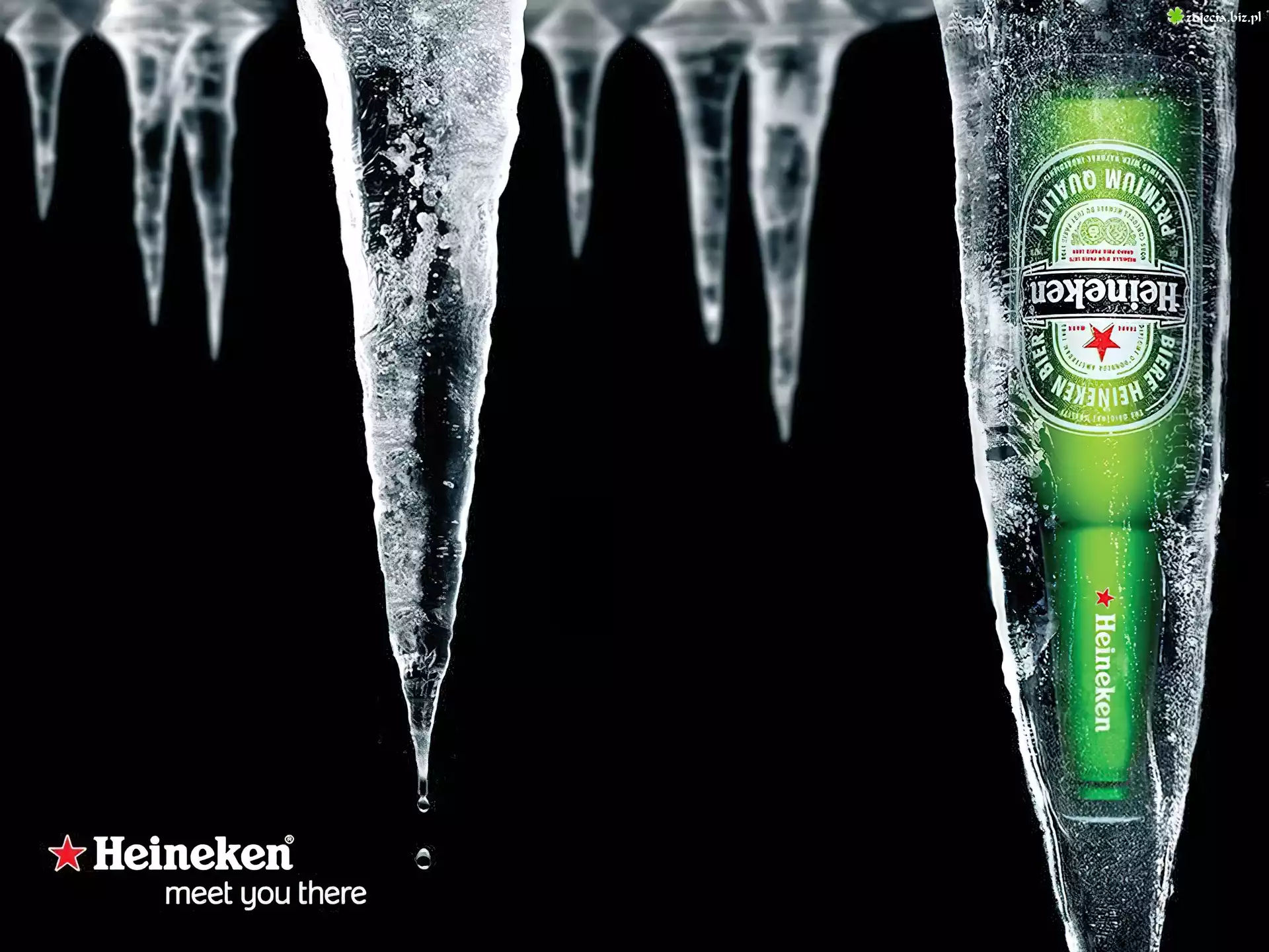 Butelka, Heineken, Sople, Lodu