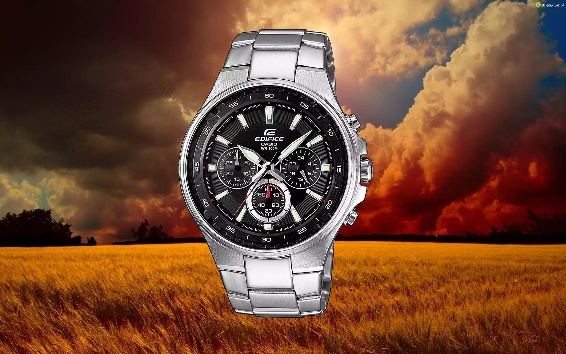 Zegarek, Casio, Edifice