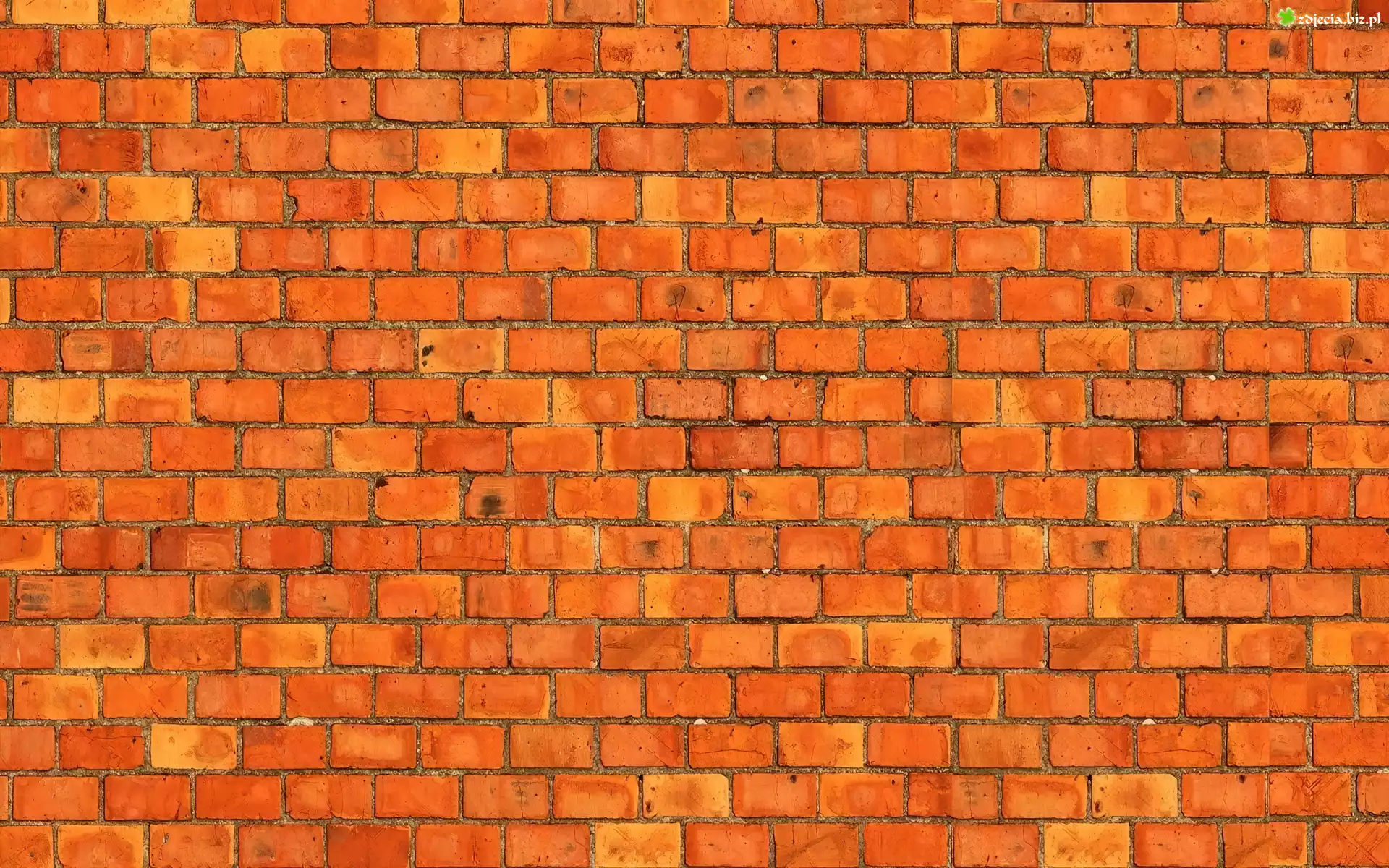 Cegła, Mur