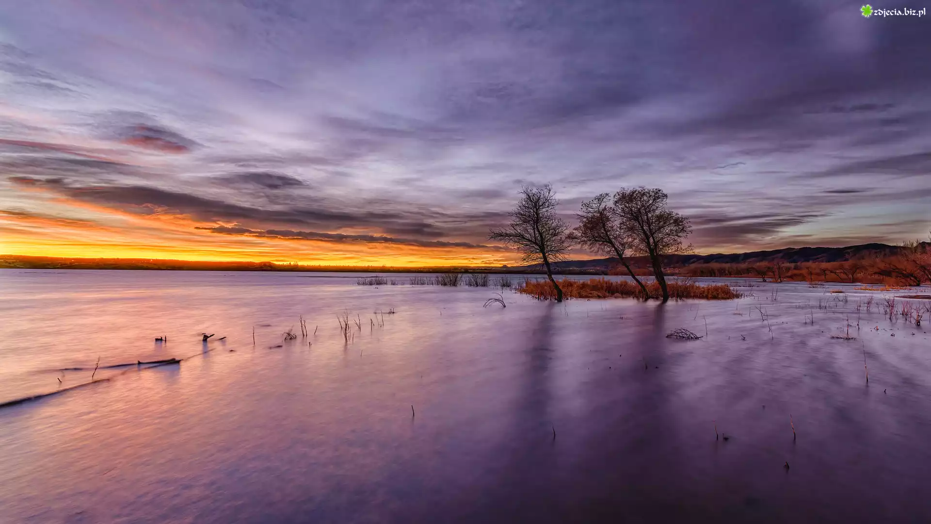 Stany Zjednoczone, Kolorado, Chatfield State Park, Jezioro, Chatfield Lake, Drzewa, Chmury, Wschód słońca