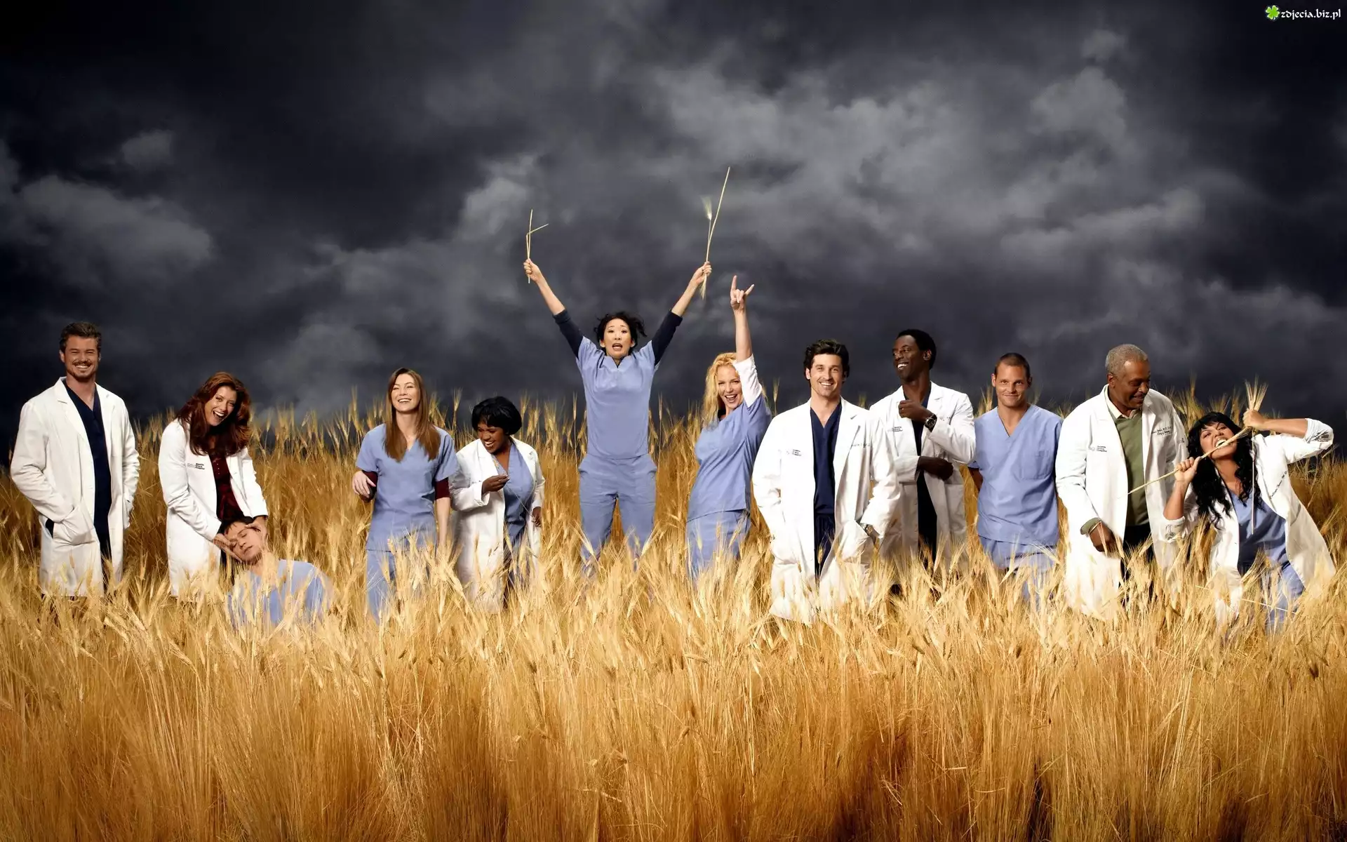Chirurdzy, Greys Anatomy, Burzowe, Chmury, Kłosy, Zboża