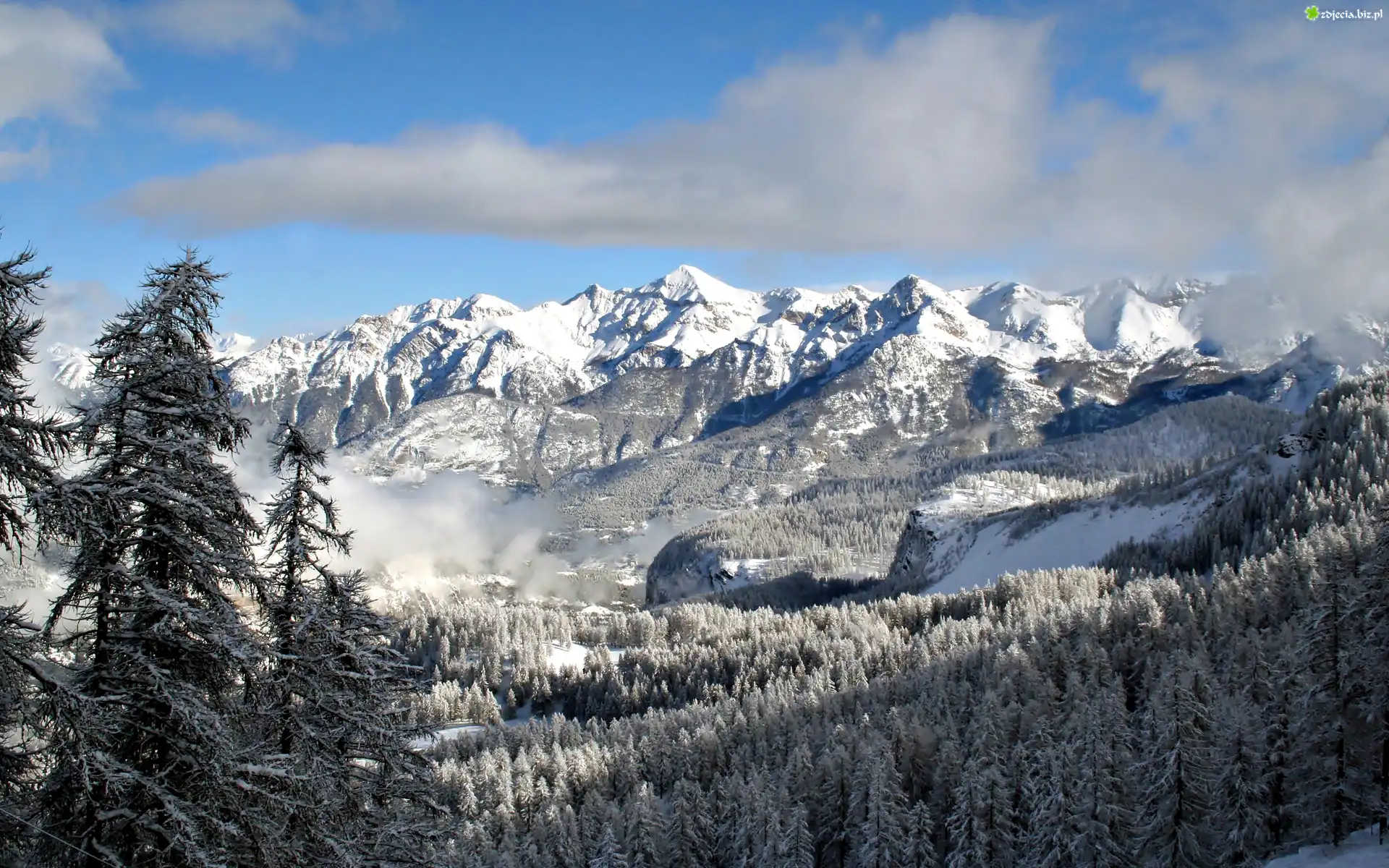 Góry, Chmury, Choinki