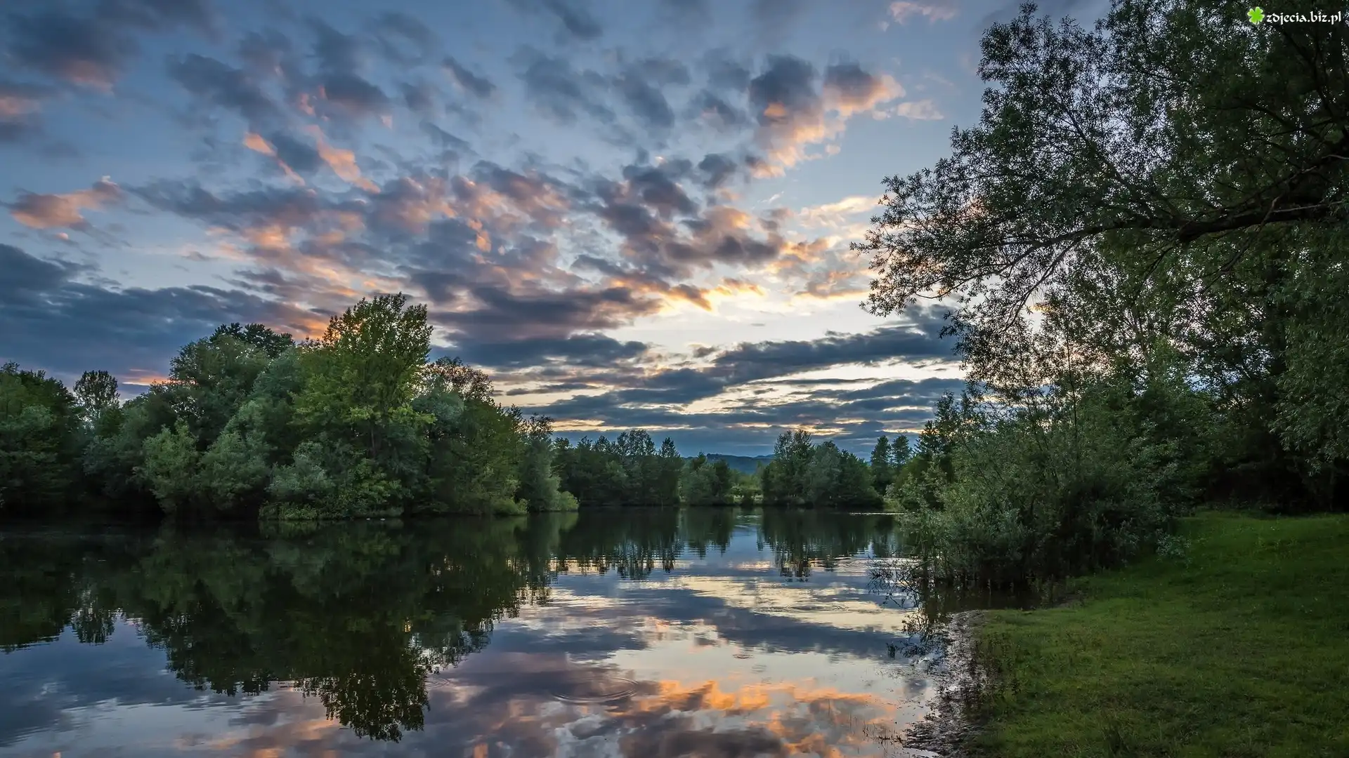 Chorwacja, Jezioro Bobovica, Drzewa, Chmury, Odbicie