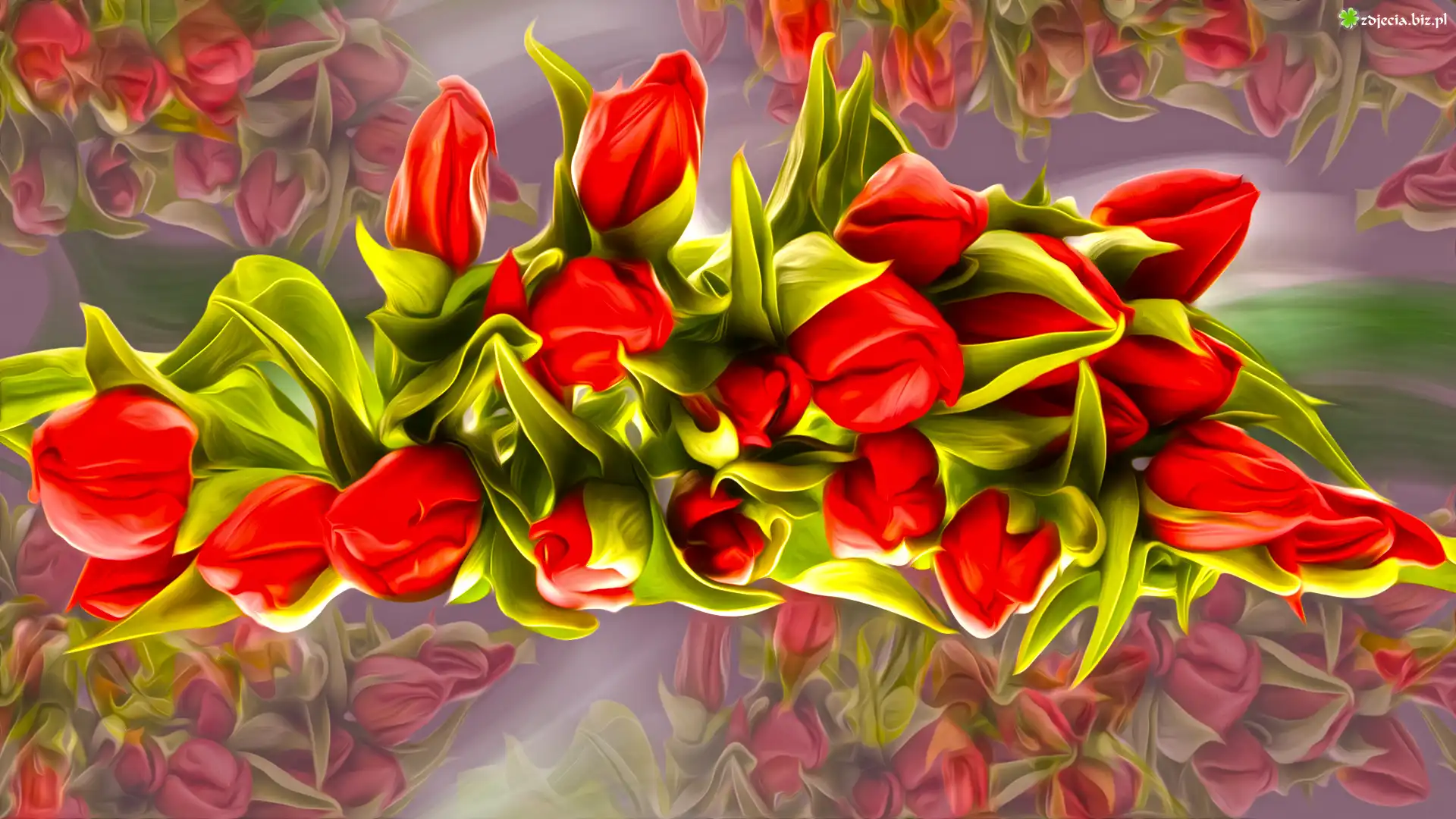 Tulipany, Czerwone, Grafika