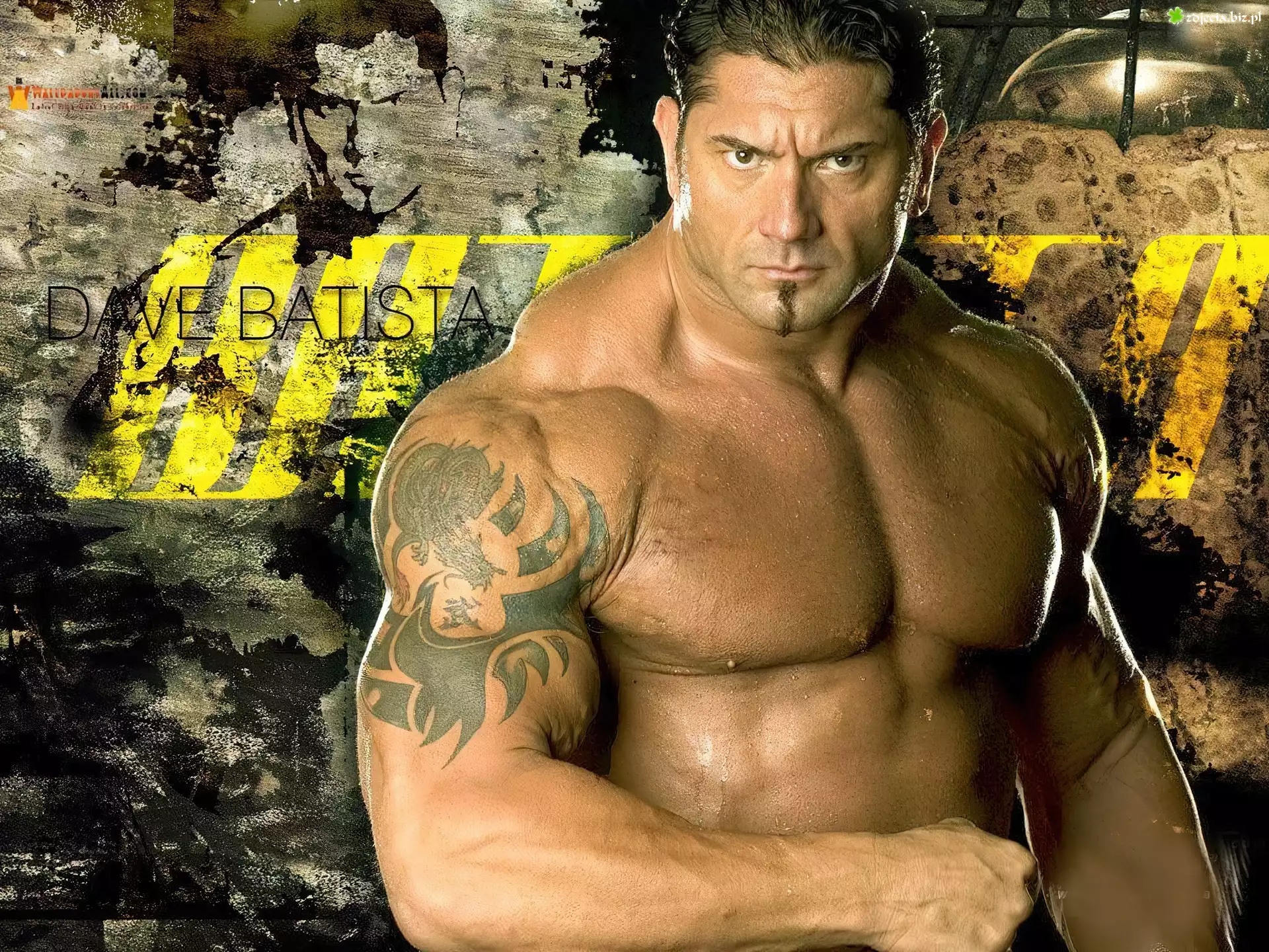 Batista, Dave Bautista, Wrestling, WWE, Aktor, Wrestler