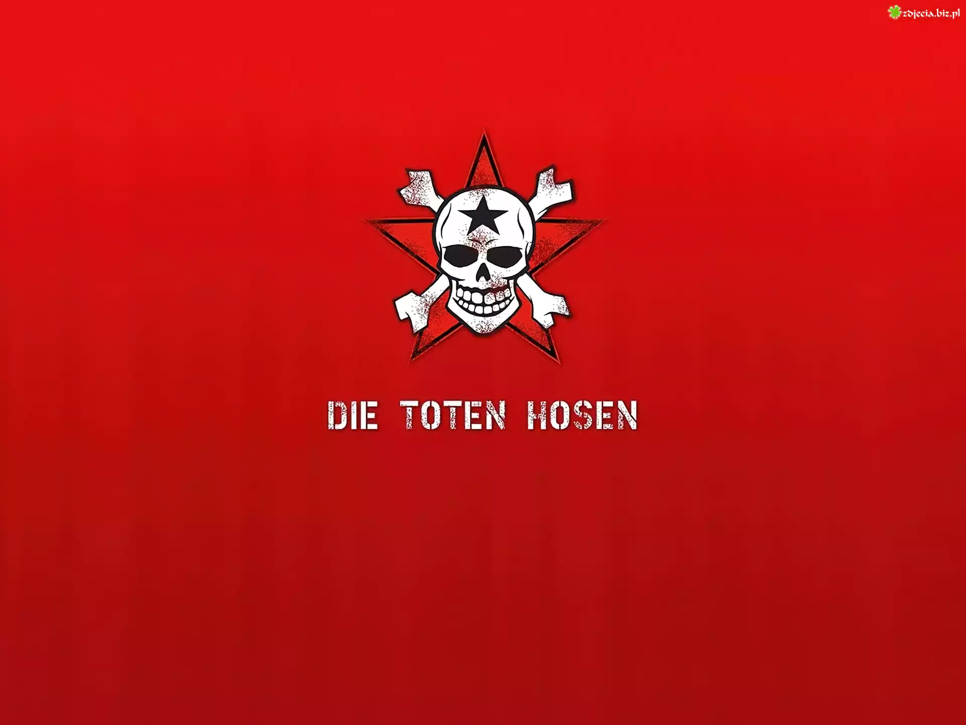 Die Toten Hosen,czaszka ,kości
