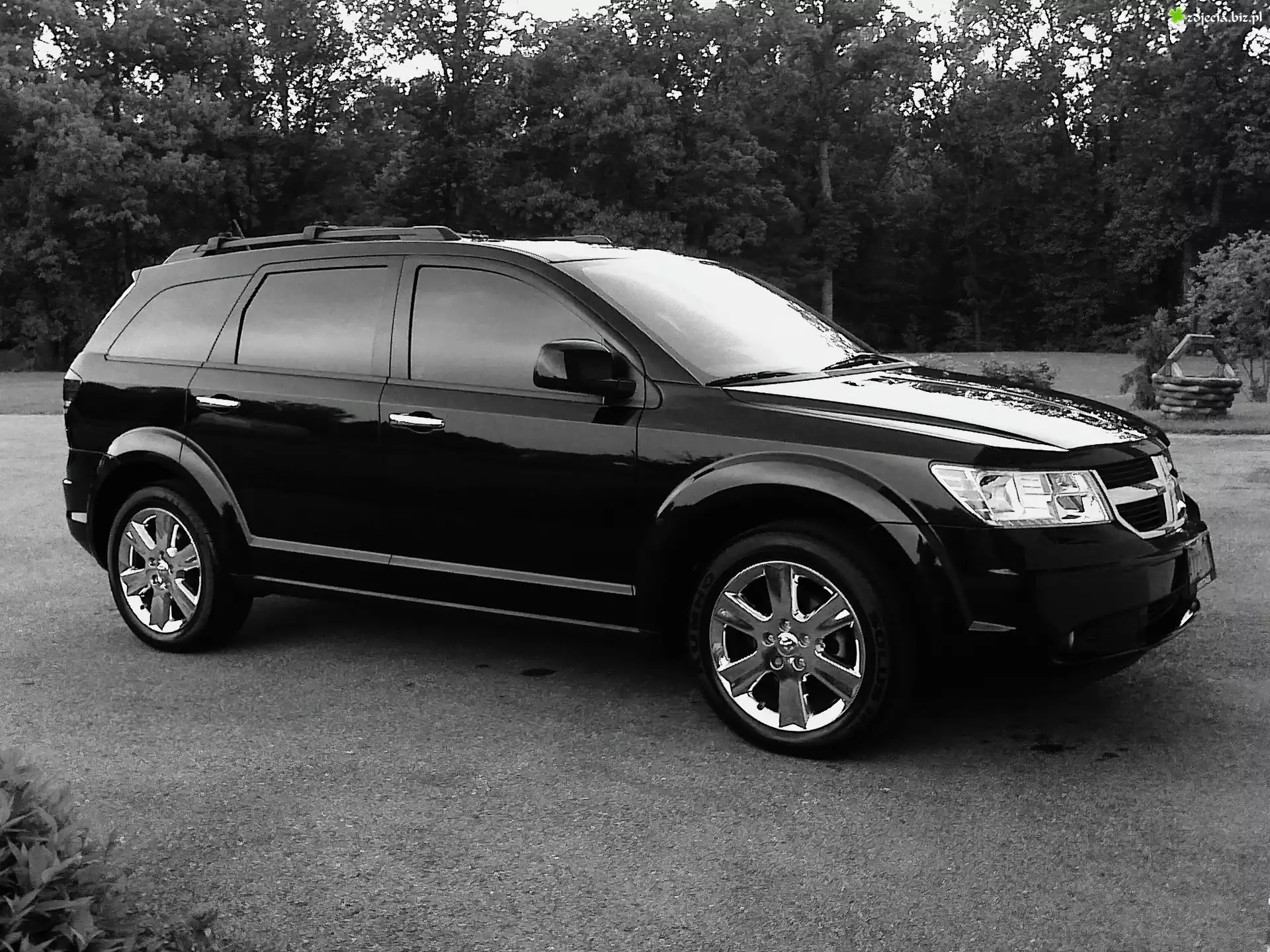 Dodge Journey, Czarno, Białe, Zdjęcie