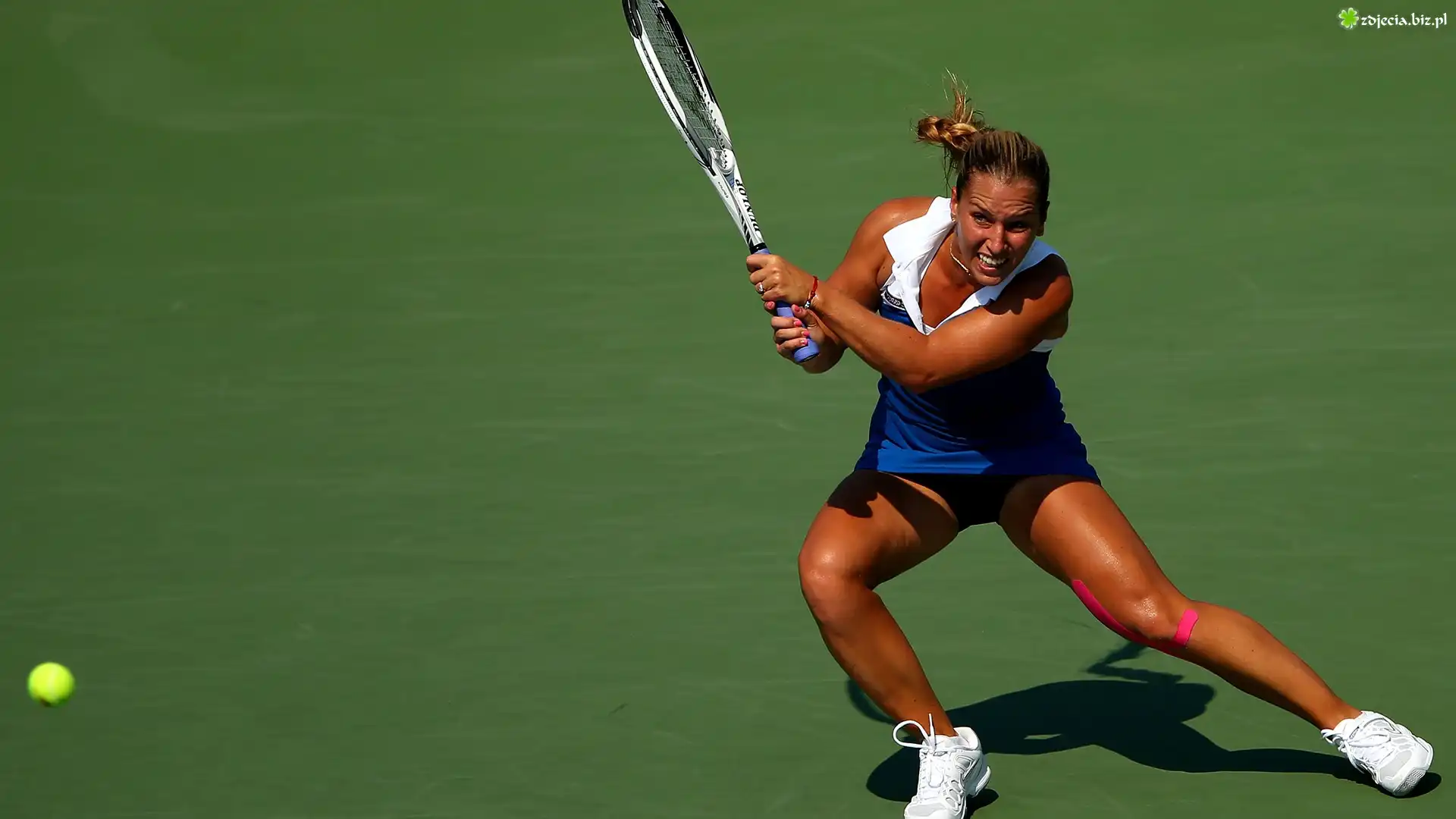 Dominika Cibulkova, Słowacka, Tenisistka