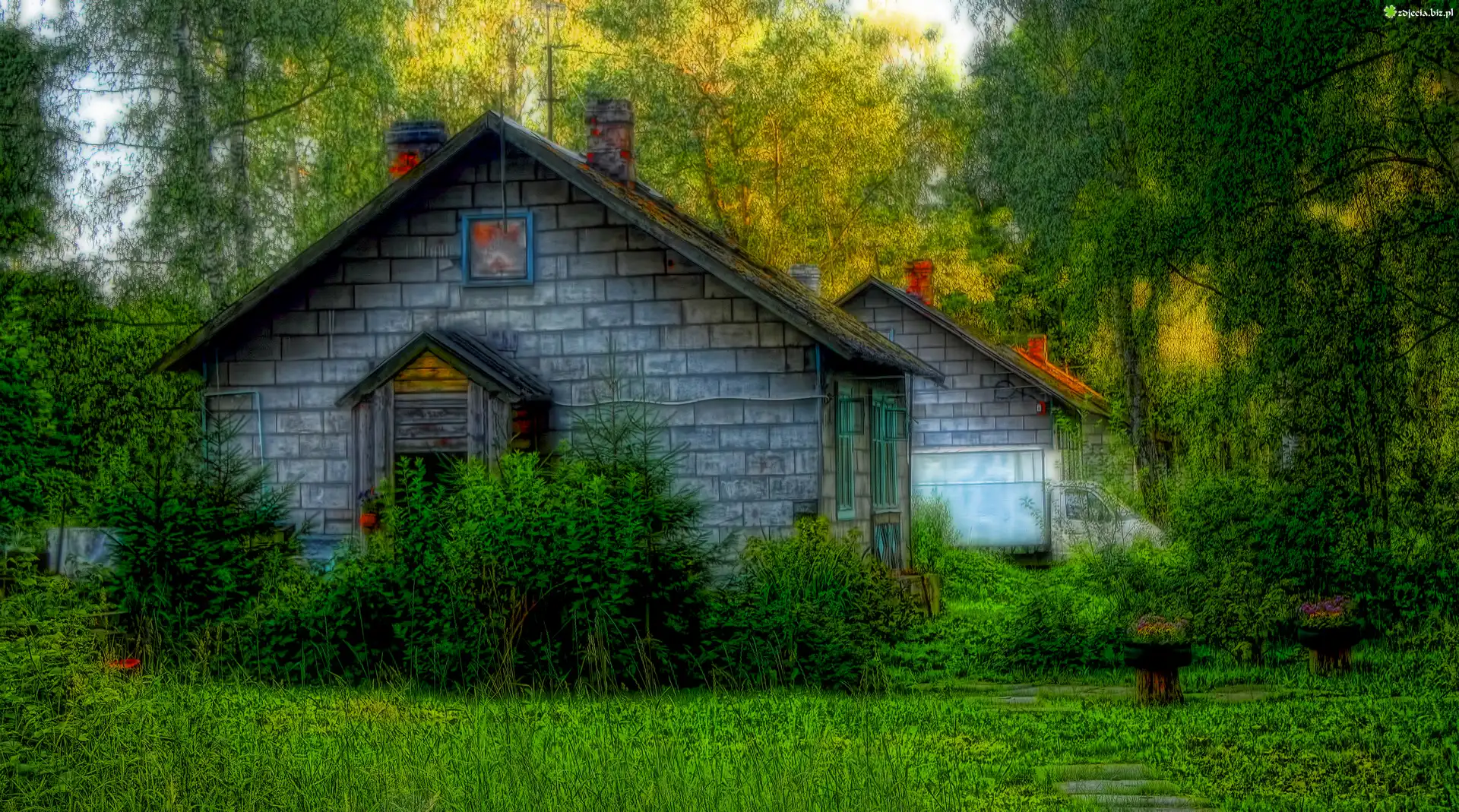 Domy, Drzewa, Roślinność, HDR