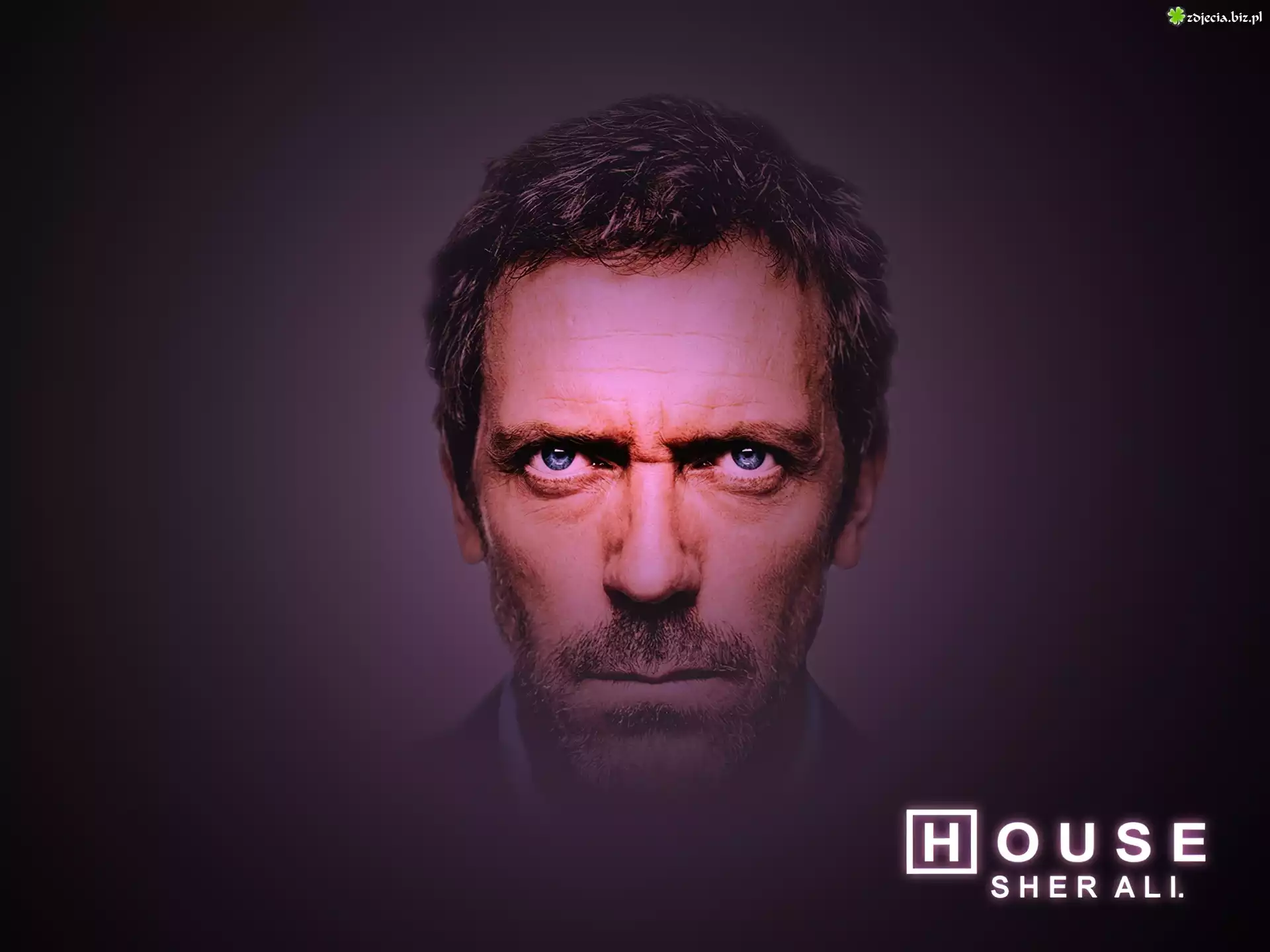 Dr. House, Hugh Lauriego, Głowa
