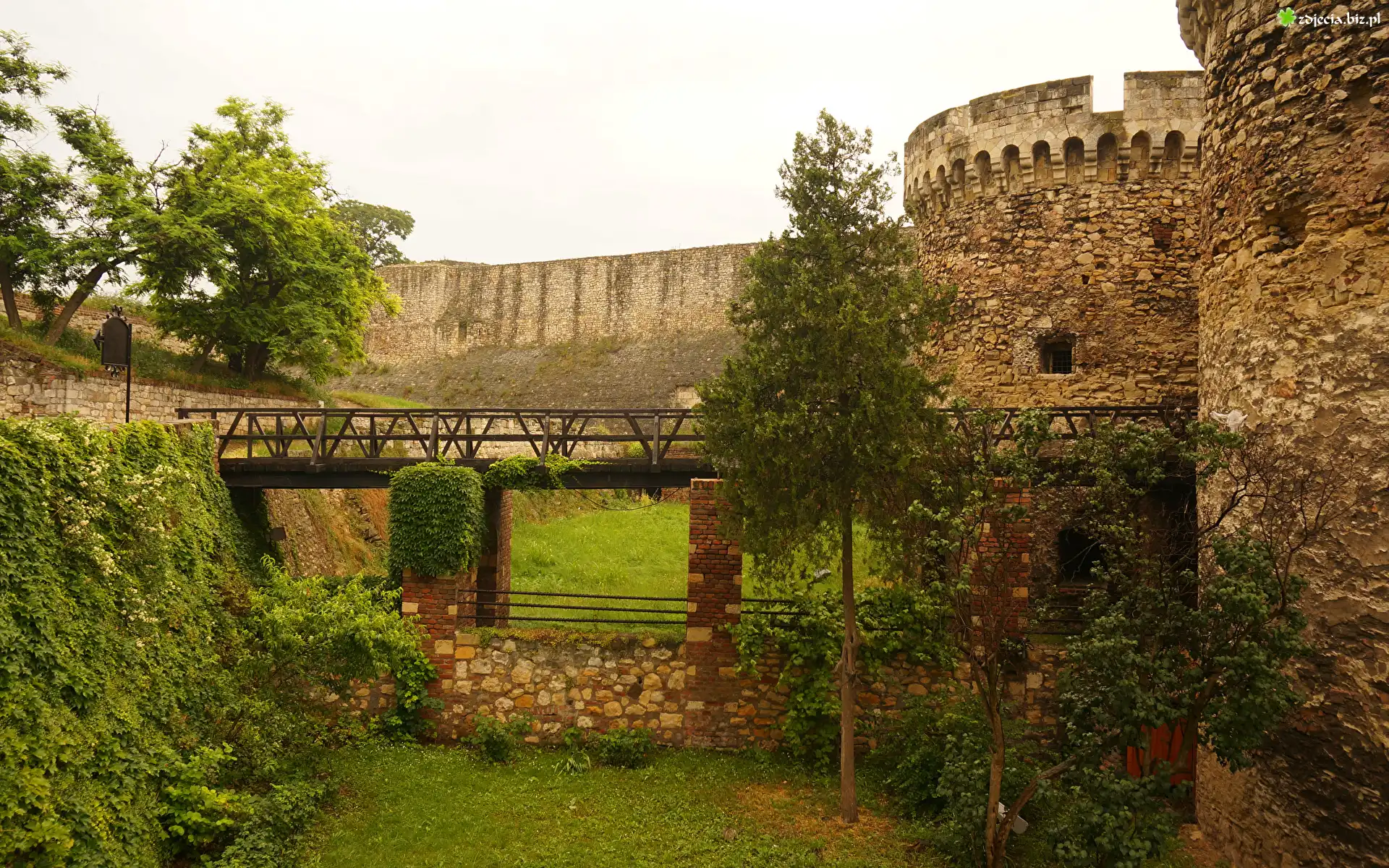 Serbia, Belgrad, Fortyfikacje, Twierdza, Kalemegdan, Most, Trawa, Drzewa