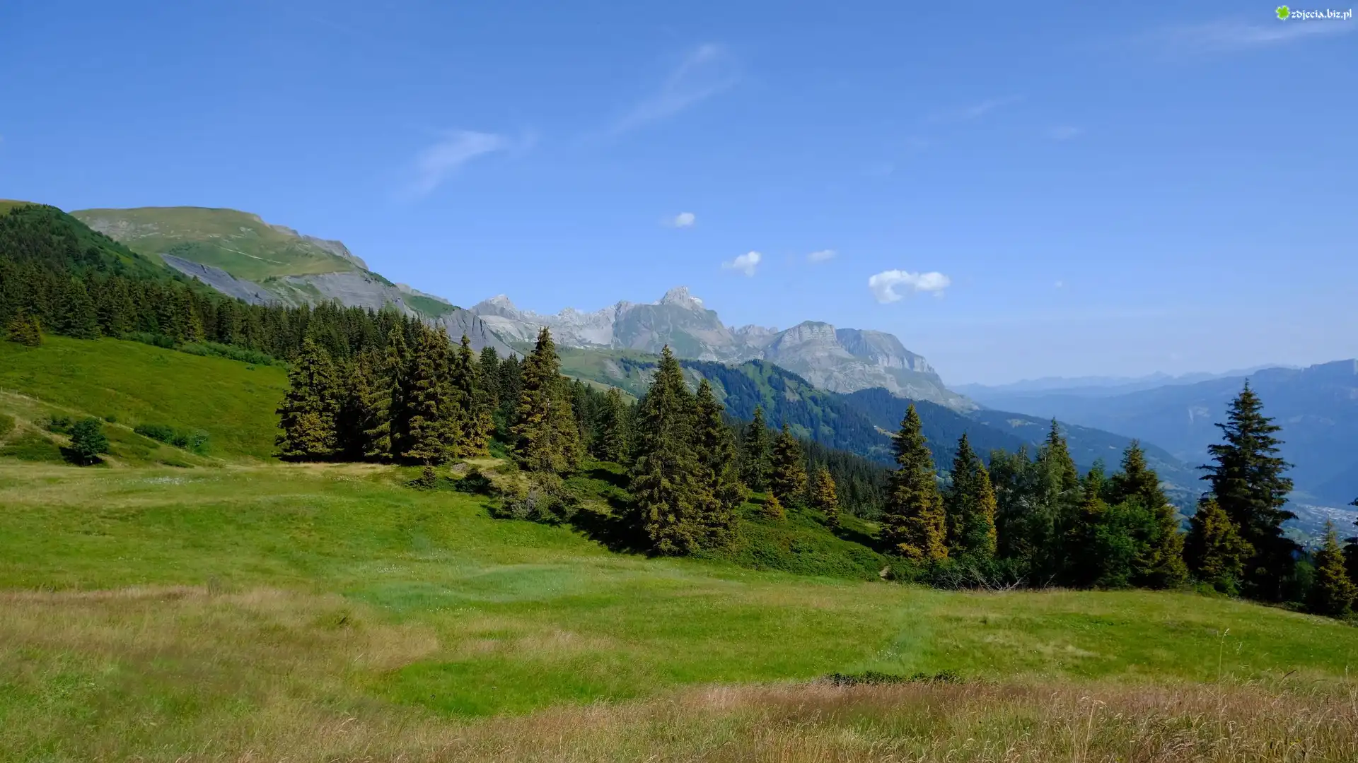 Góry, Drzewa, Trawa
