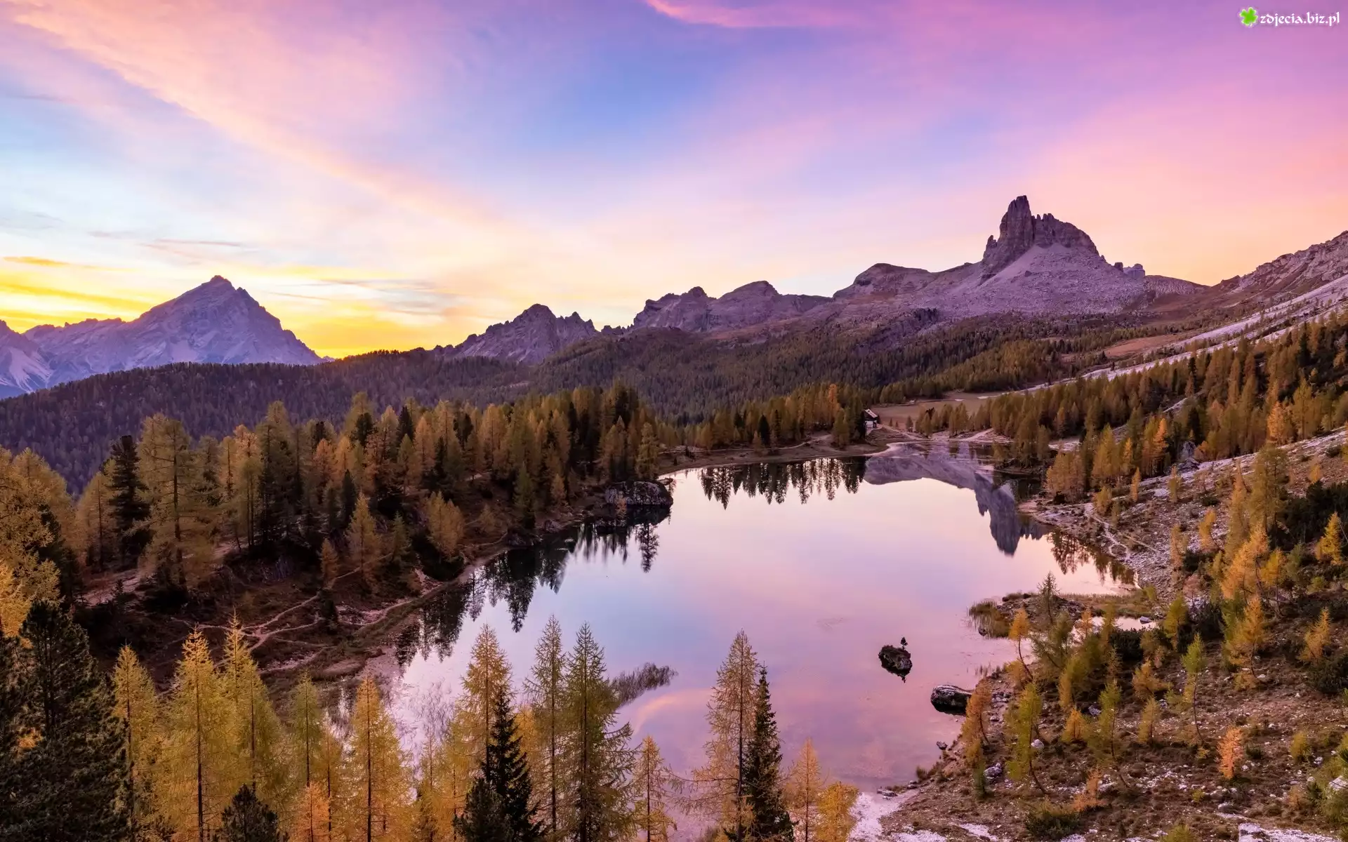 Jezioro, Federa Lake, Góry, Dolomity, Las, Drzewa, Jesień, Prowincja Belluno, Włochy