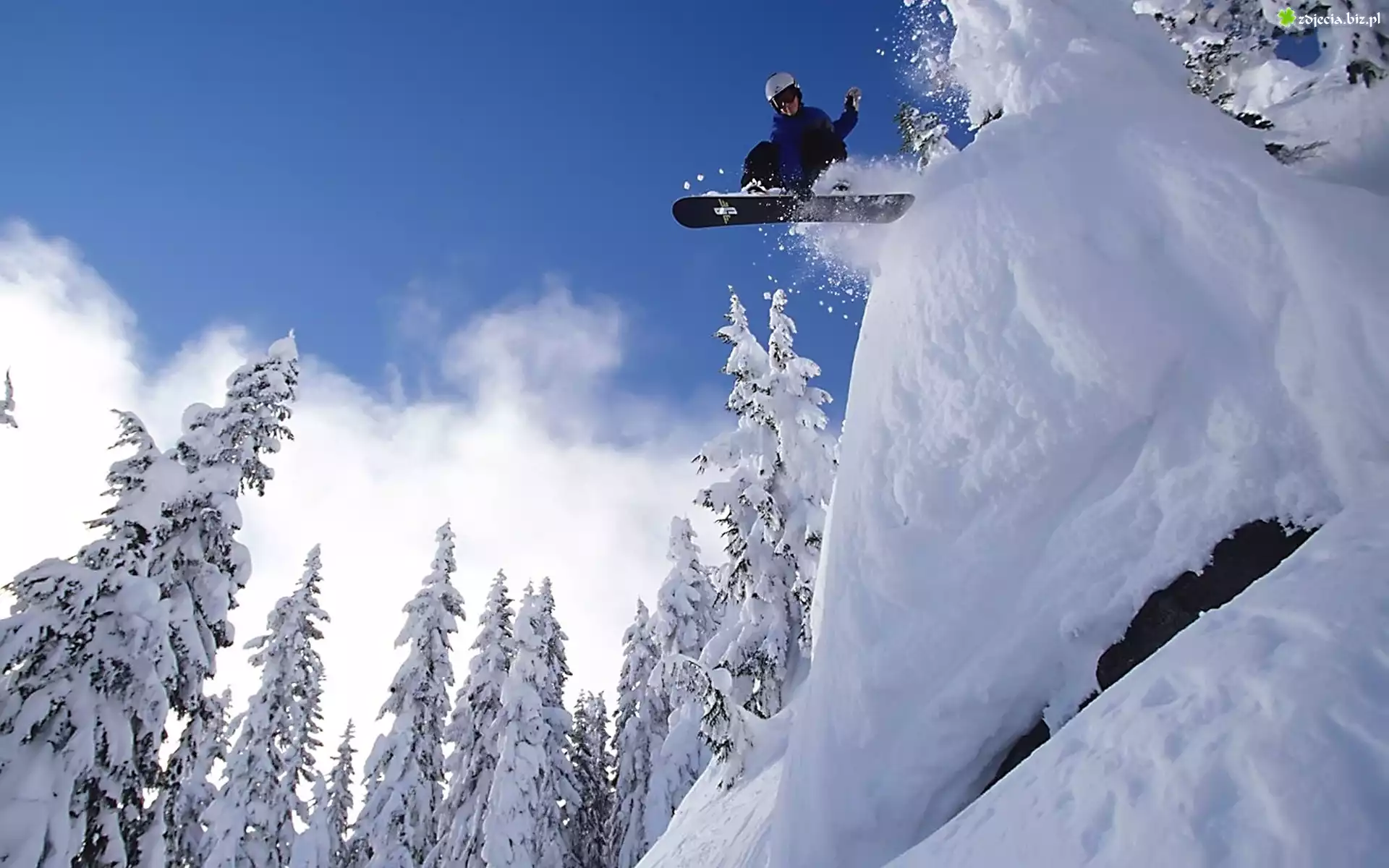 Åšnieg, Drzewa, Snowboard