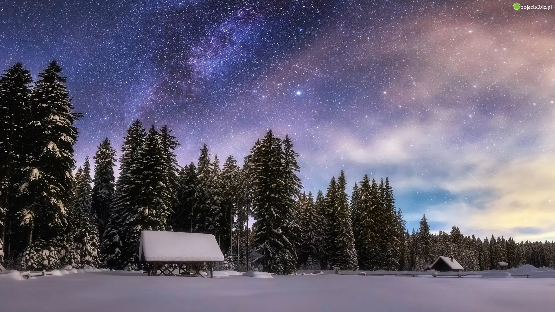 Słowenia, Równina Pokljuka, Zima, Las, Wieczór, Niebo, Gwiazdy, Drzewa