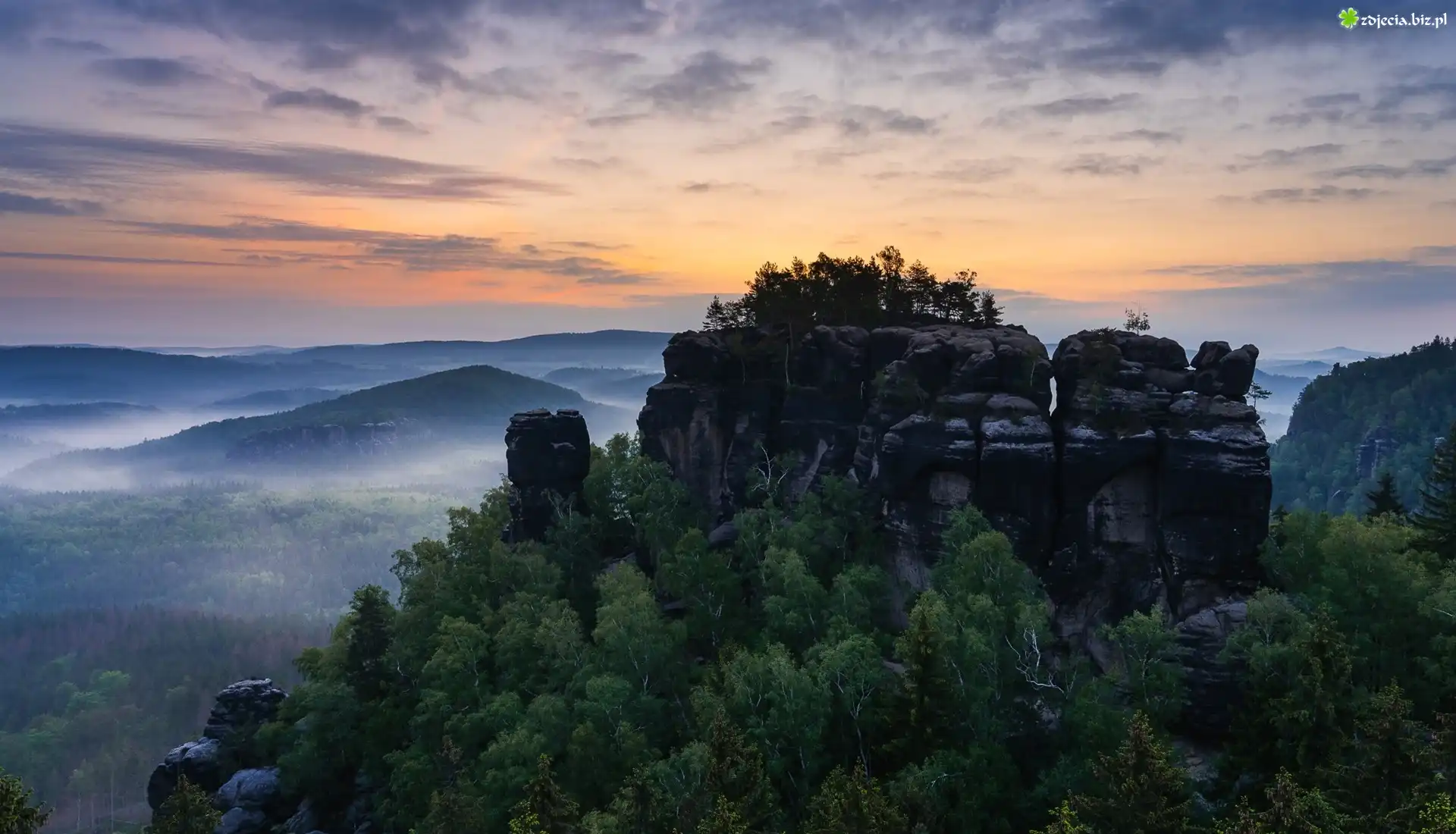 Drzewa, Lasy, Mgła, Wschód słońca, Skały