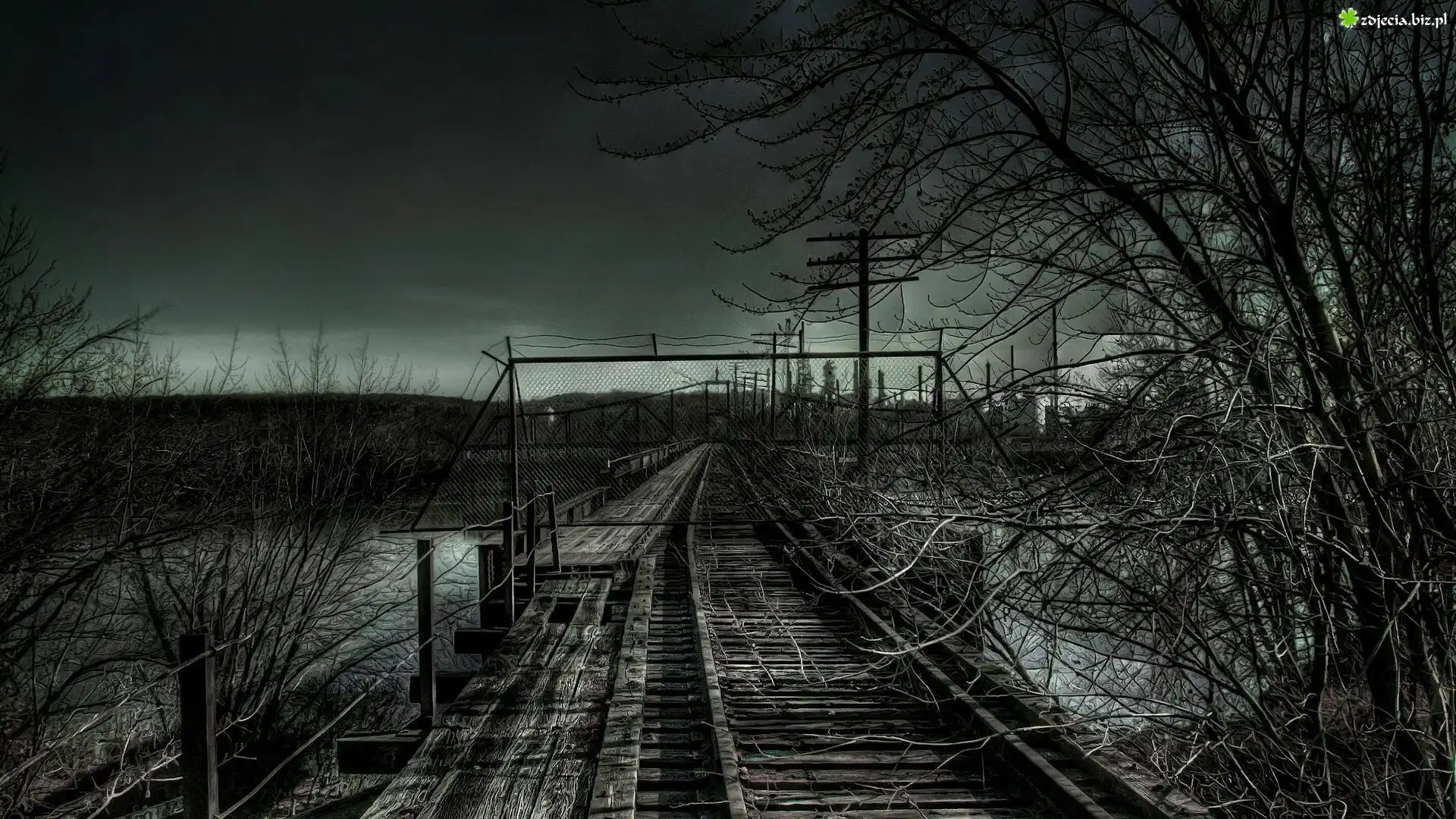 Tory, Drzewa, HDR
