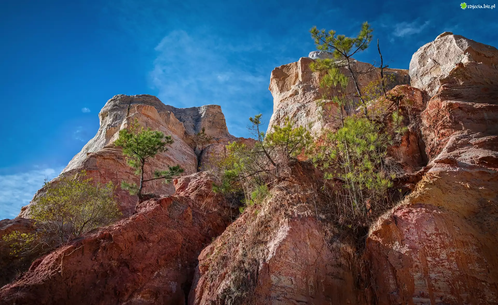 Stany Zjednoczone, Stan Georgia, Park stanowy Providence Canyon, Skały, Drzewka