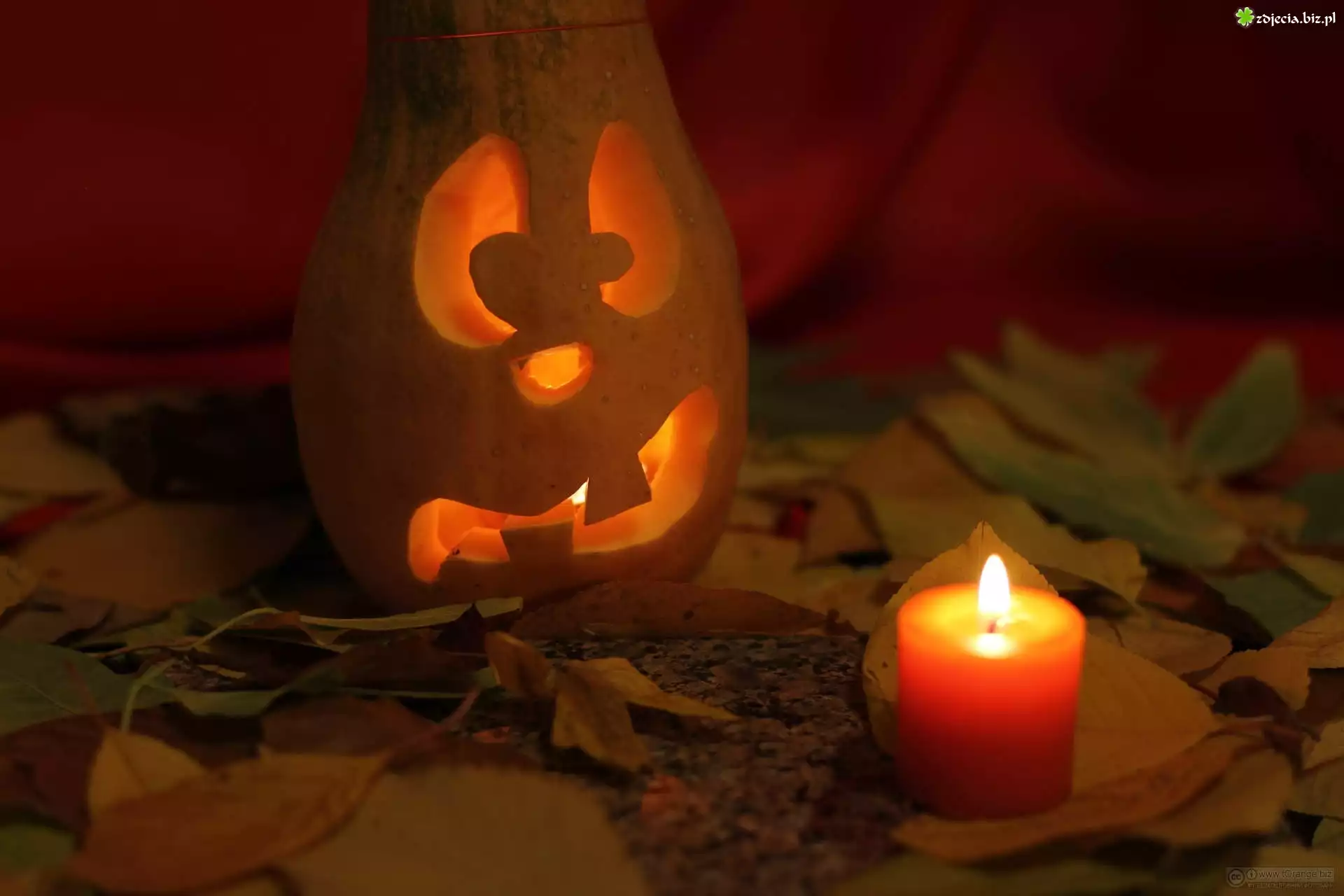 Dynia, Świeczka, Liście, Jesień, Halloween
