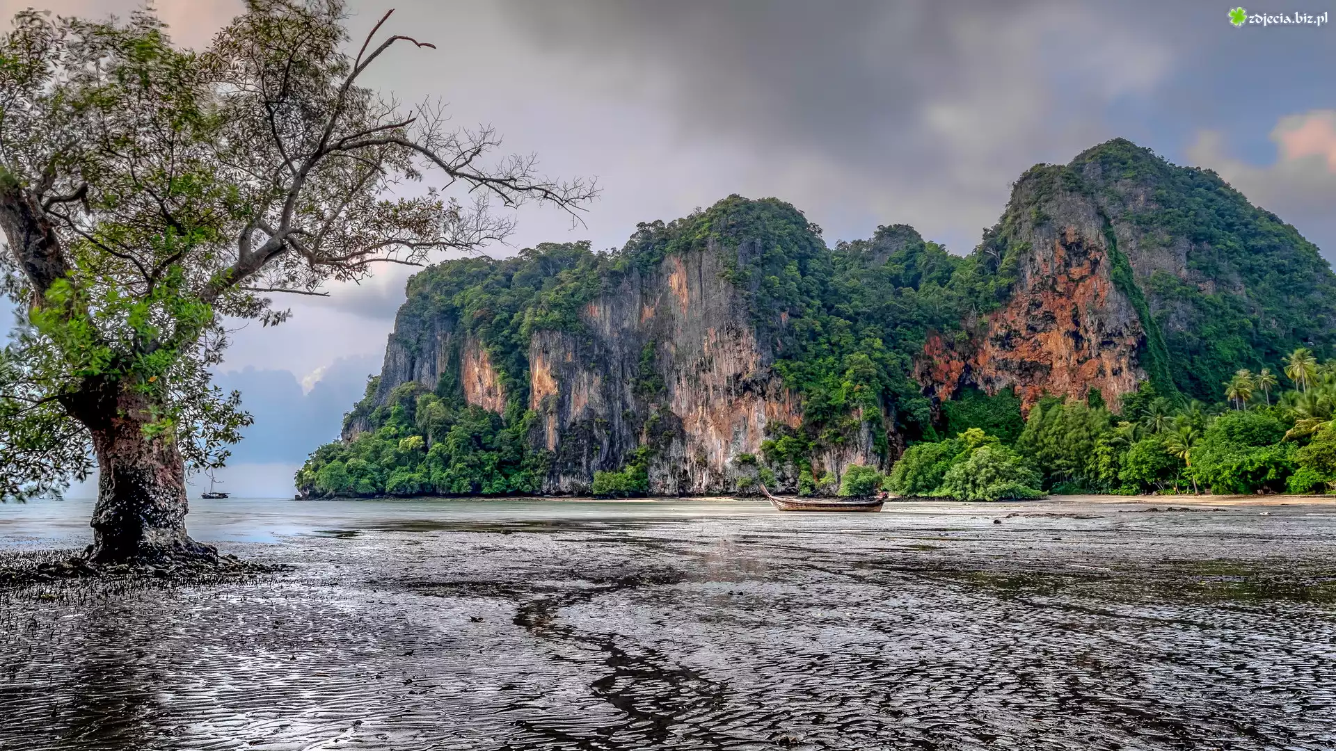 Góry, Zatoka East Railay Bay, Drzewo, Łódki, Ao Nang, Krabi, Tajlandia