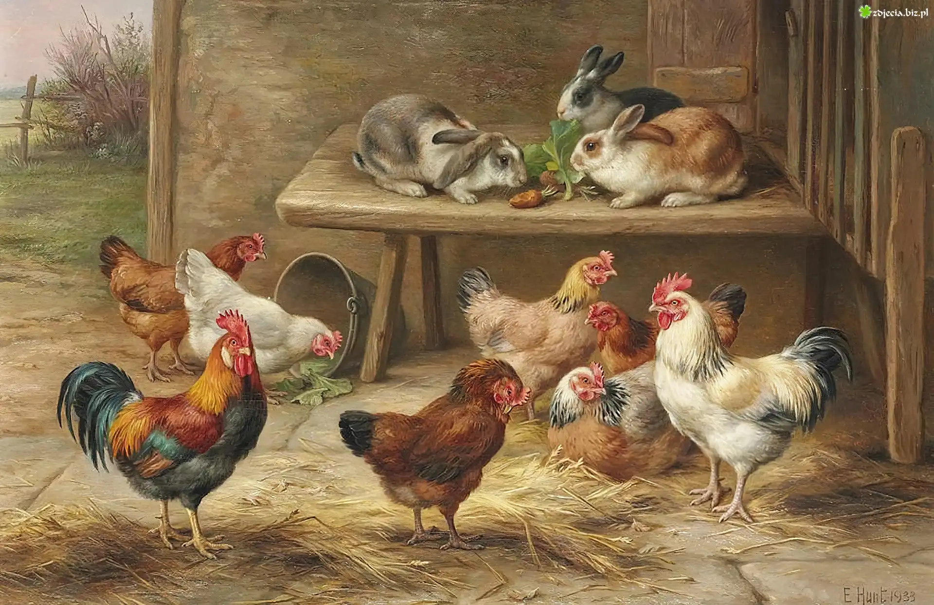 Edgar Hunt, Kury, Króliki, Stolik