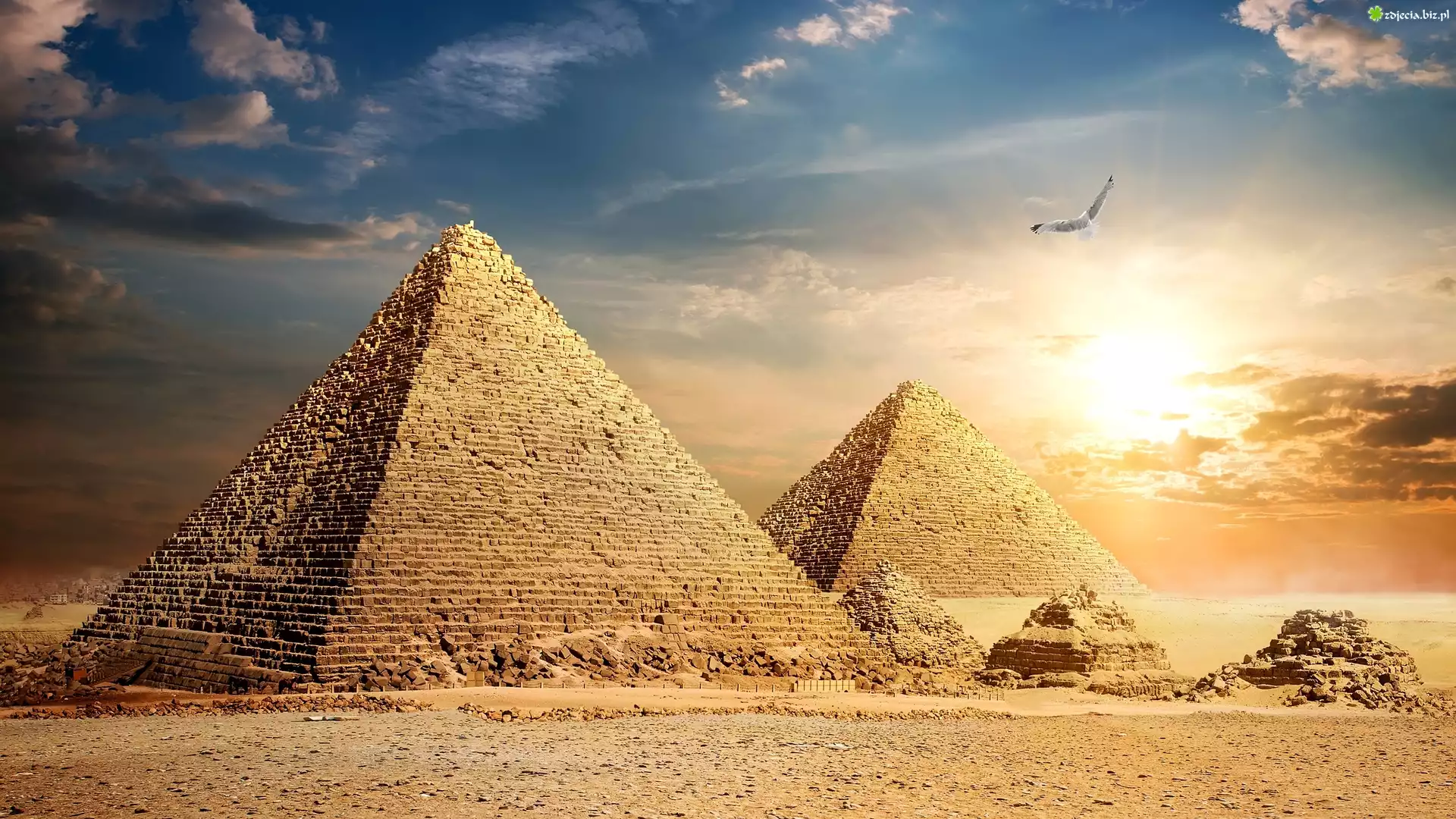Egipt, Giza, Piramidy, Piramida Cheopsa, Ptak