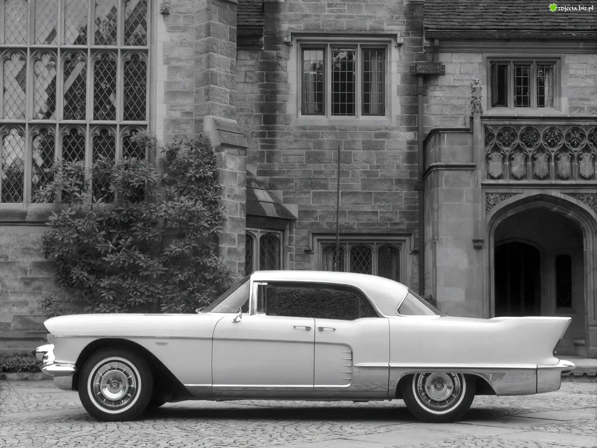 Cadillac Eldorado, Skrzydła