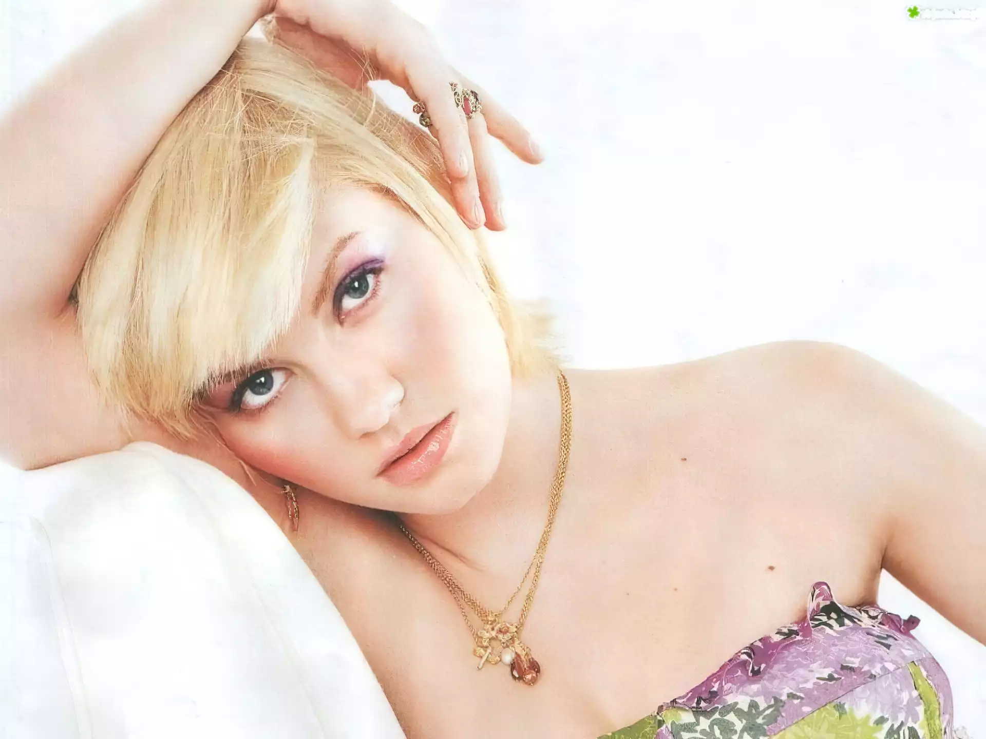Elisha Cuthbert